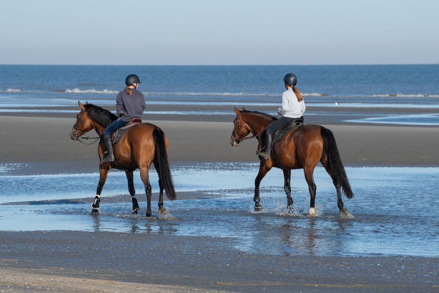 Multiple horses and riders enjoying a beach ride along the waterline.