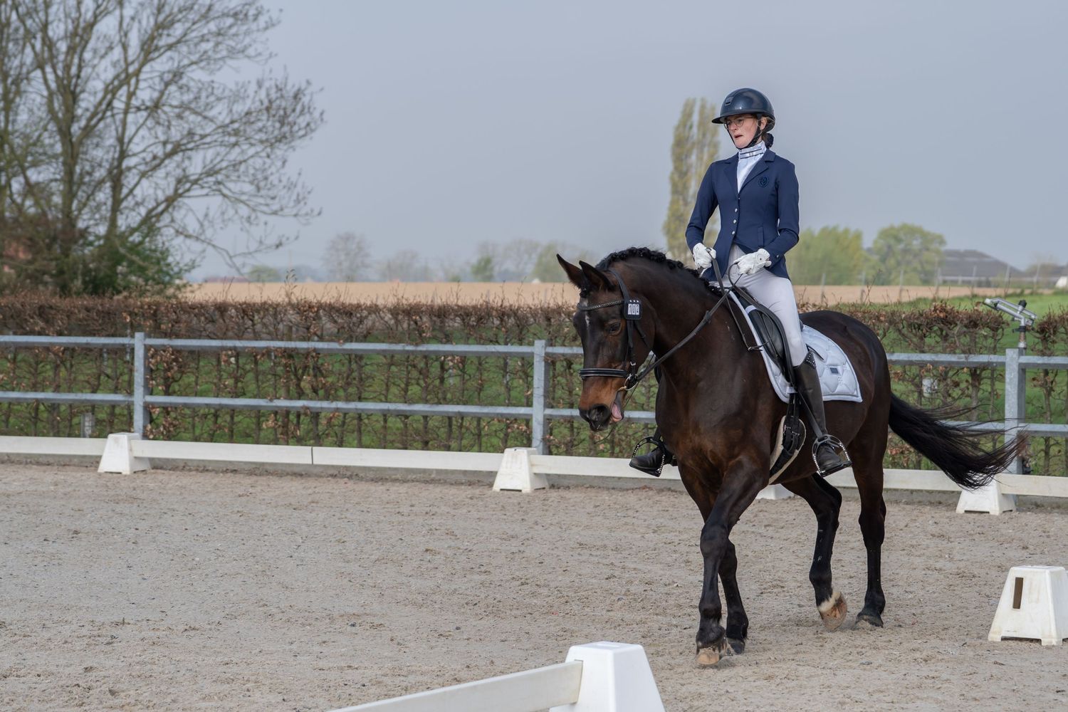 Equestrian rider in navy jacket performs dressage test in sand arena with white markers and surrounding fence.