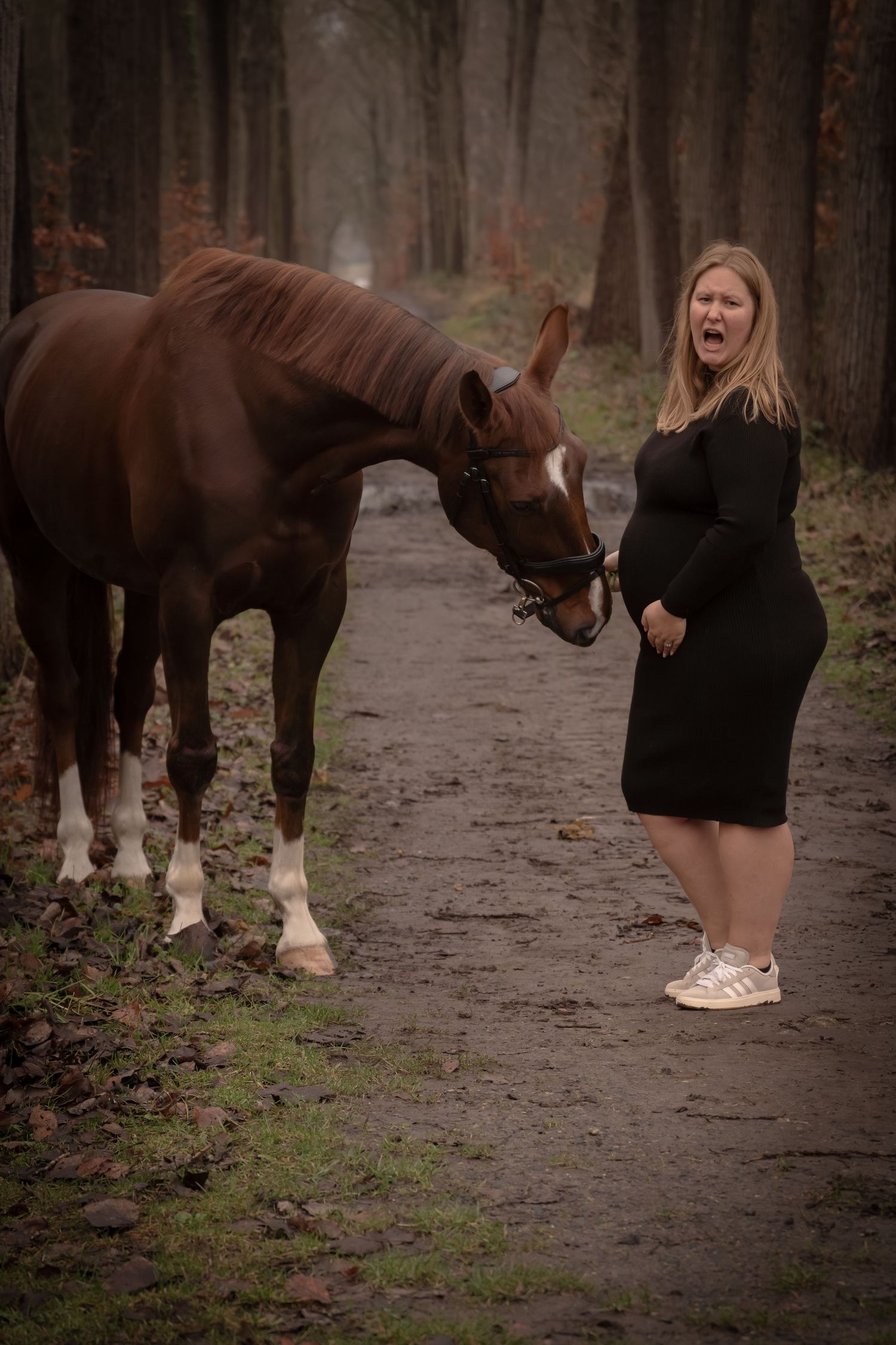 A series of five photos showing someone in black clothing caring for a horse's hooves on a forest path.