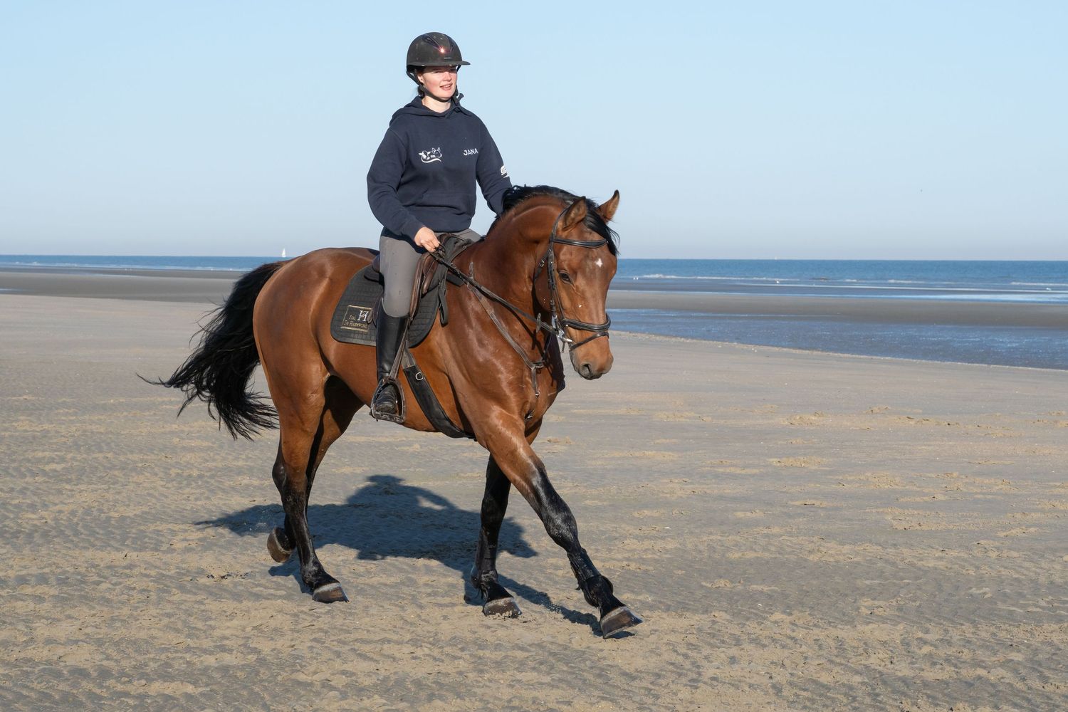 Riders galloping horses along a scenic beach shoreline during low tide.