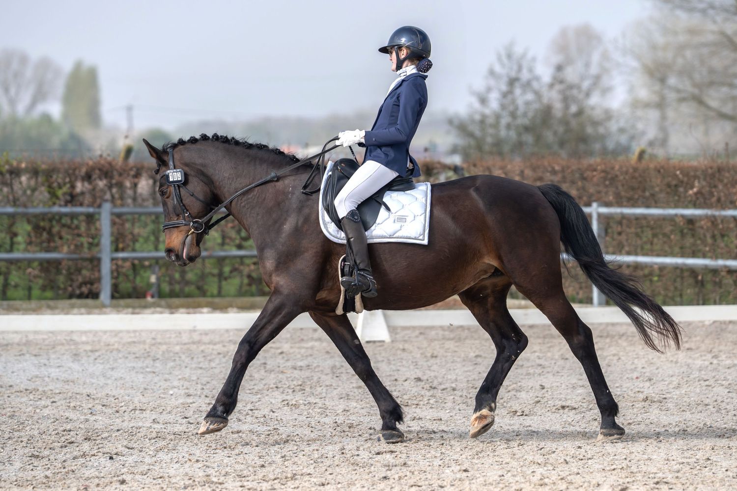 Rider in navy competition attire guides bay horse through extended trot in dressage arena.