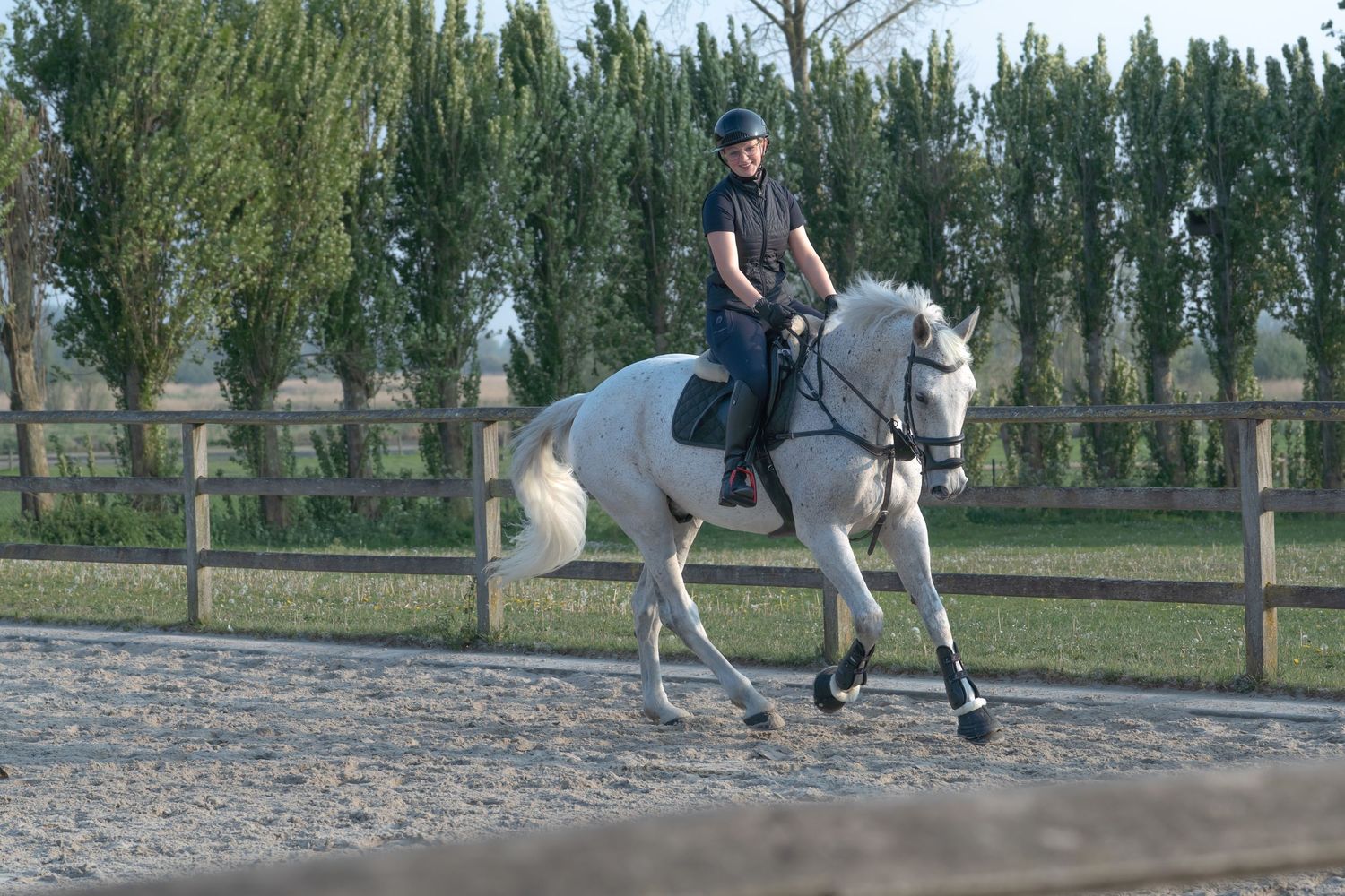 White horse training in an outdoor arena surrounded by tall trees.