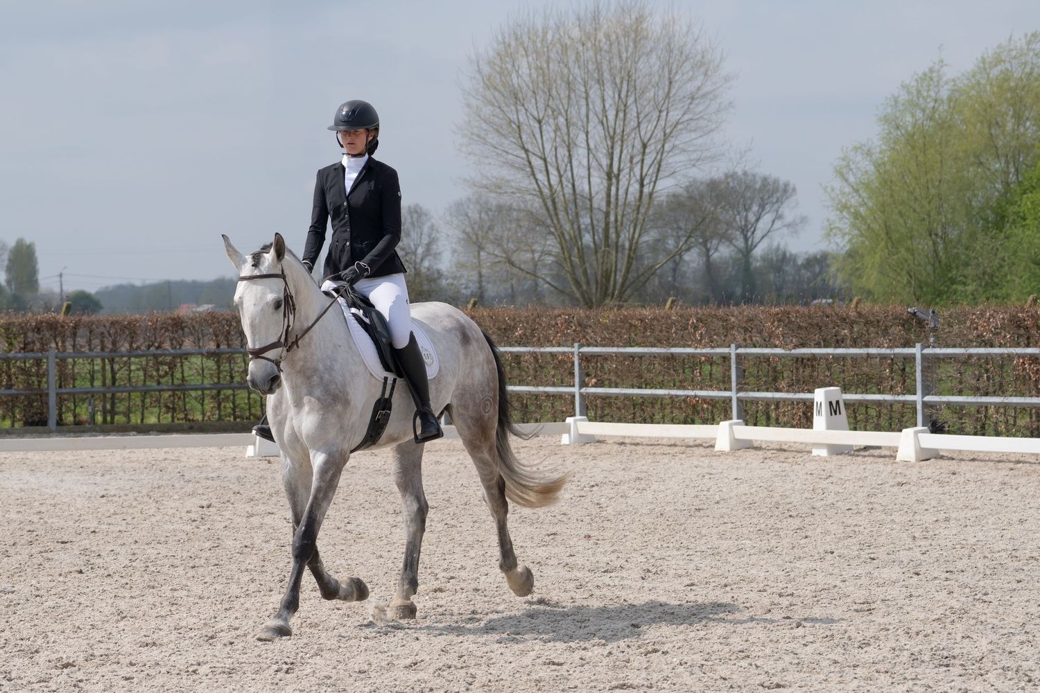 Rider performs dressage movements on a grey horse in sandy arena with fencing.