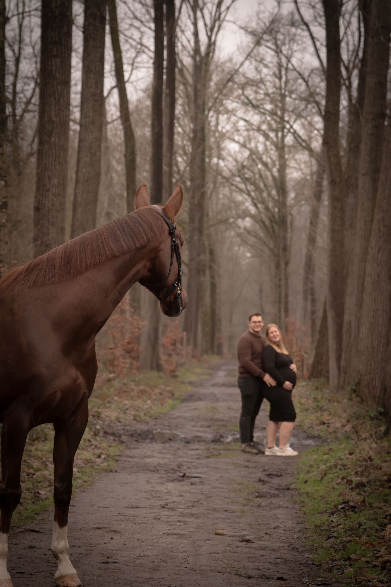 A sequence of photos showing a brown horse and person in black on a misty forest path during autumn.