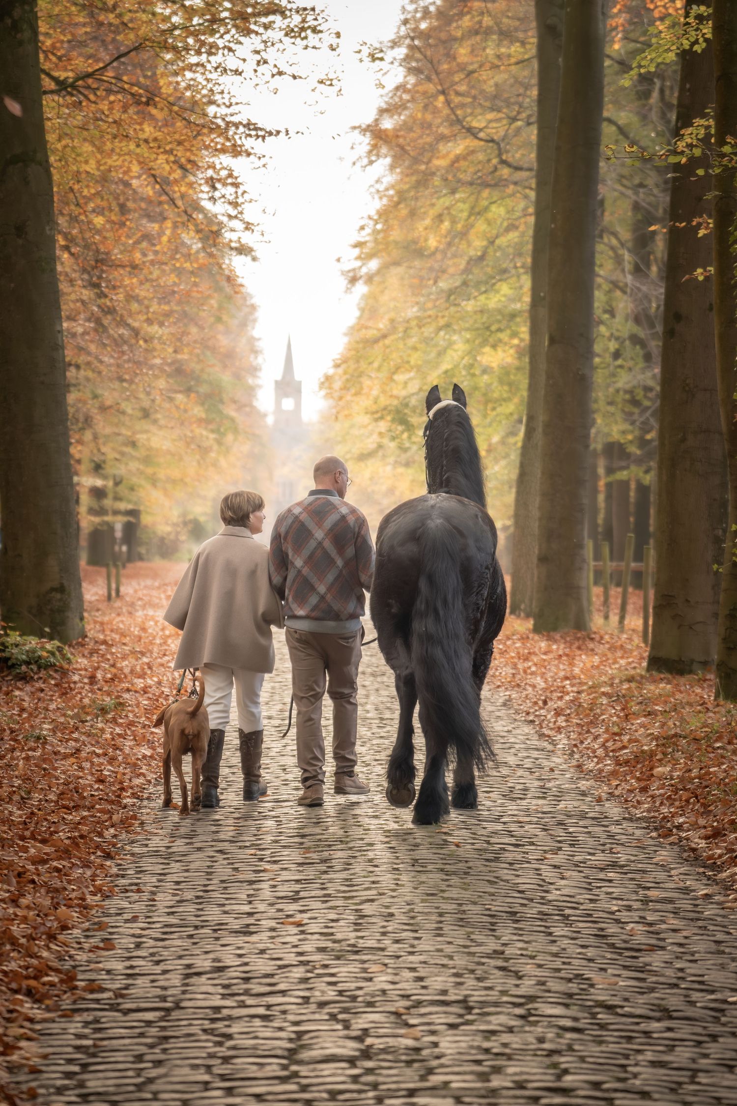 A group of people walking together on a cobblestone path through an autumn forest with golden leaves.