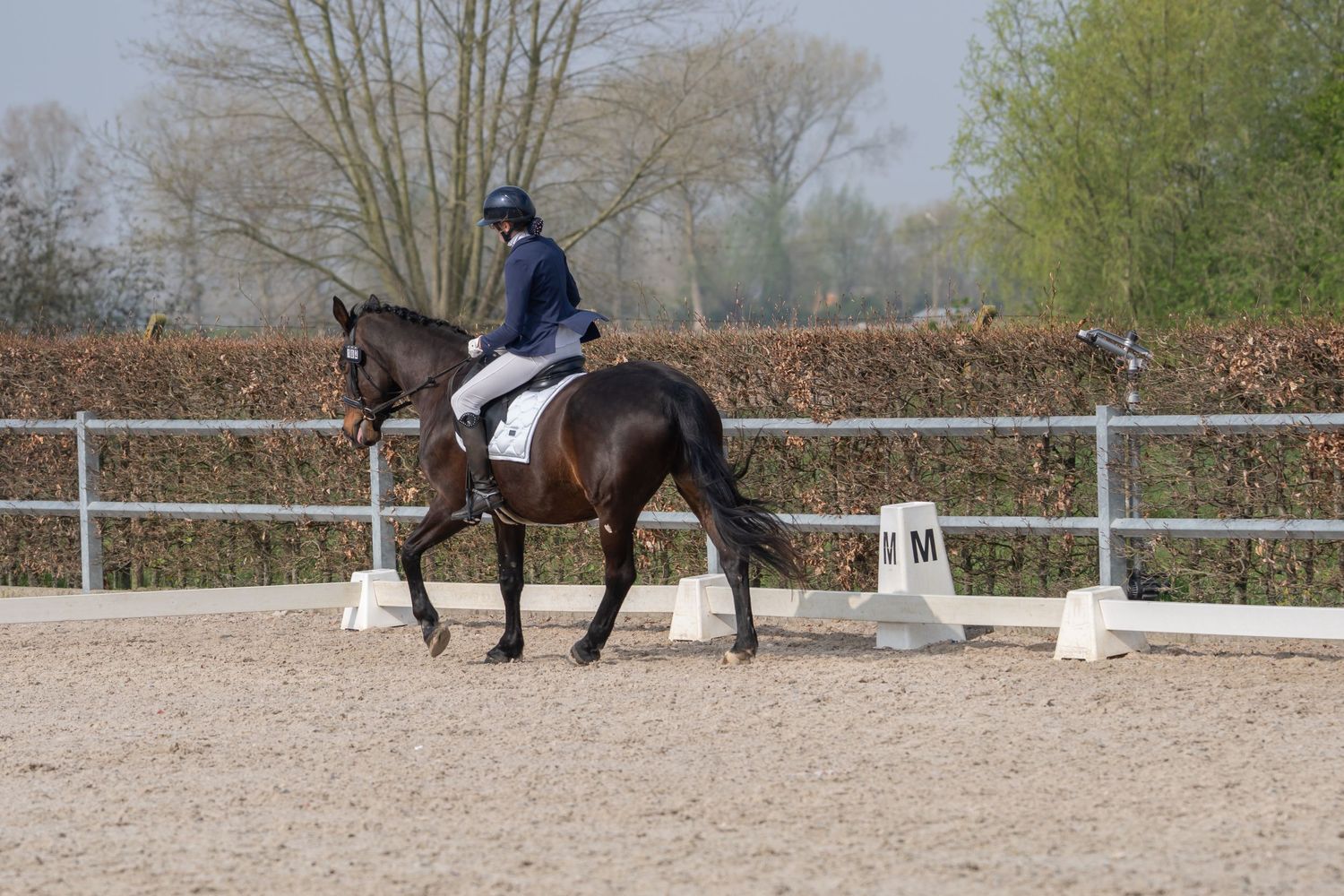 Horse and rider pair practicing dressage movements in sandy arena surrounded by autumn trees.