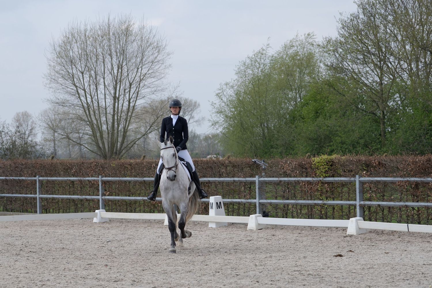 Rider guides white horse through dressage movements in overcast outdoor arena setting.