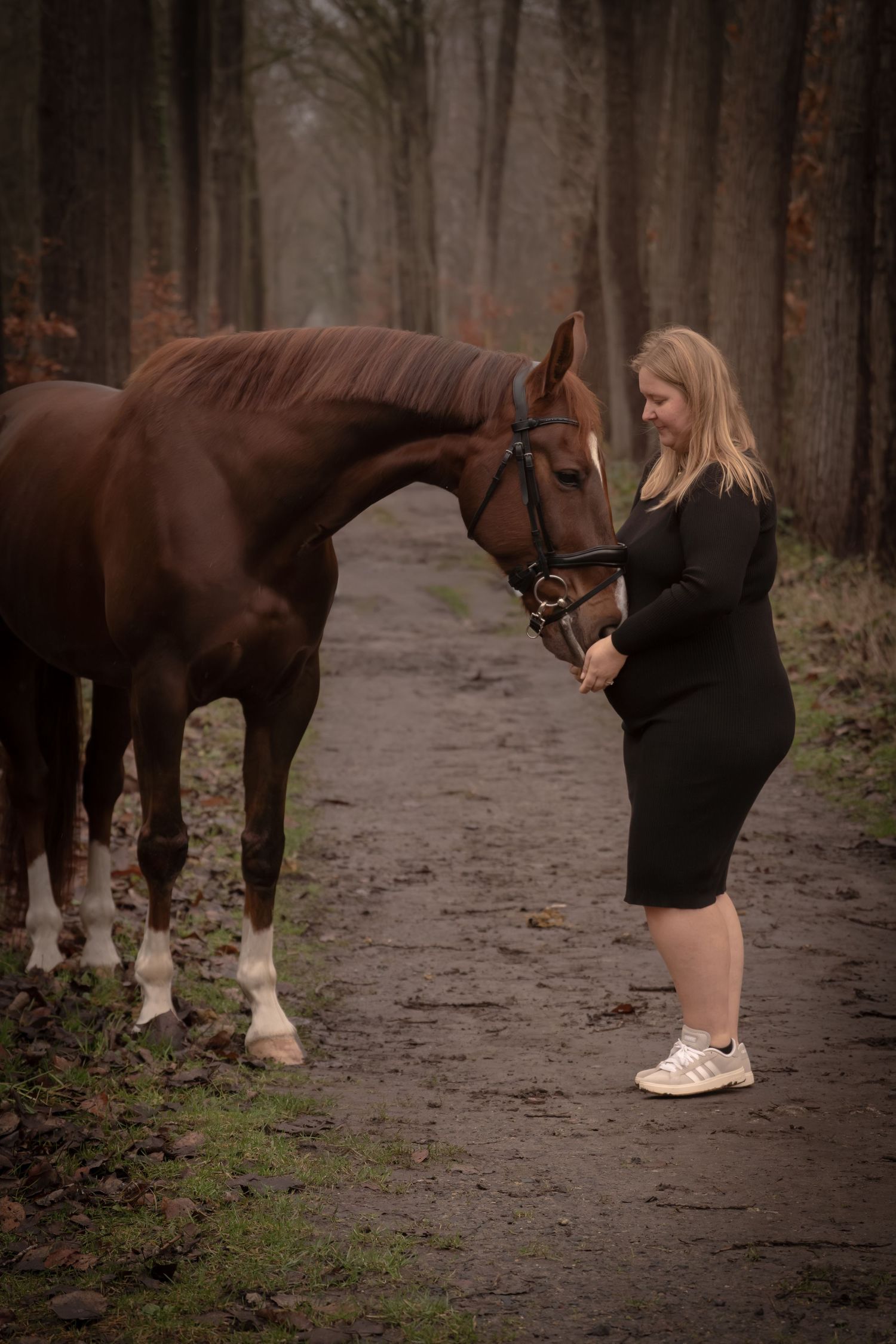 A sequence of photos showing someone interacting with a brown horse on a misty forest trail.