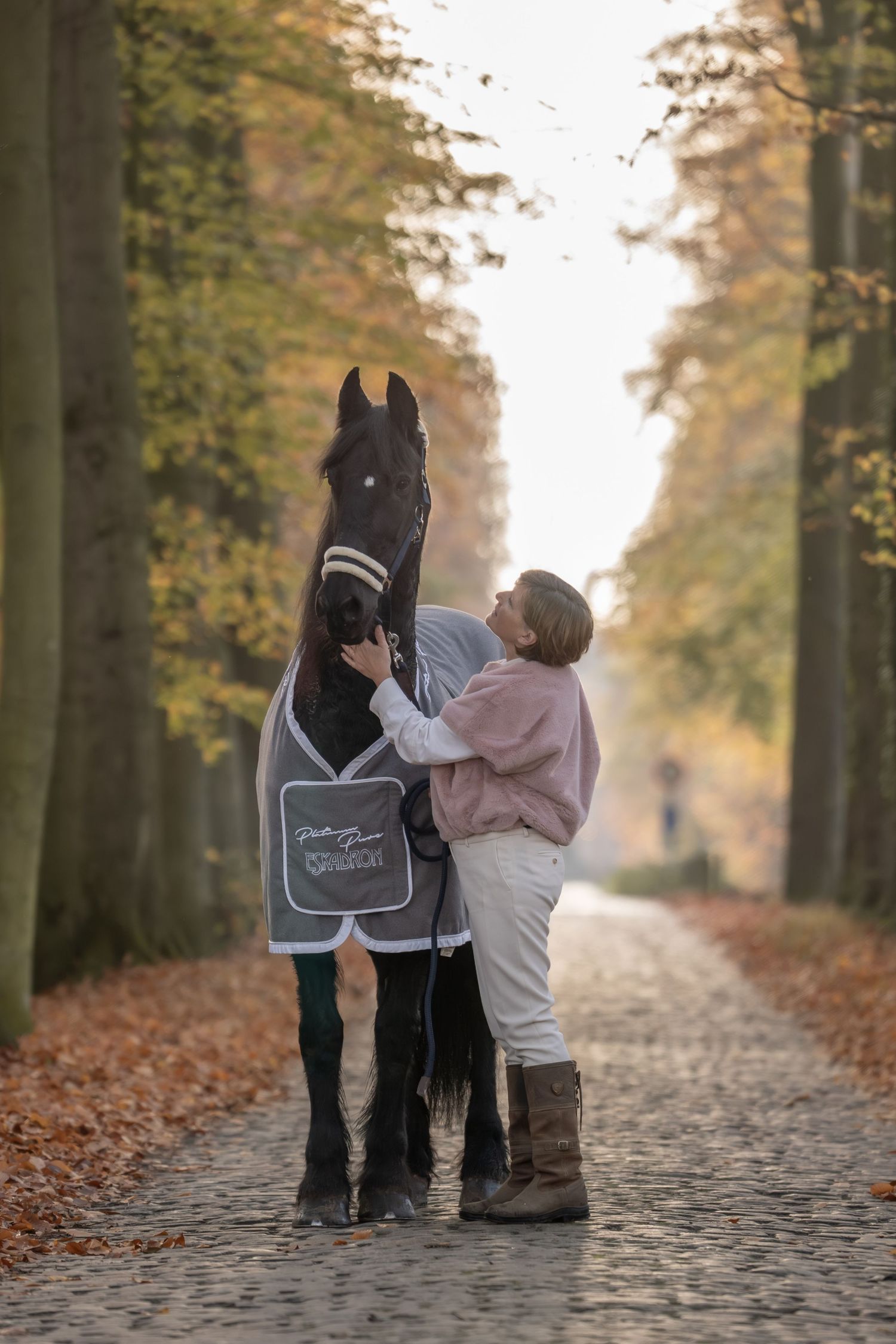 A sequence of photos showing a person interacting with two horses on a tree-lined autumn path covered in fallen leaves.