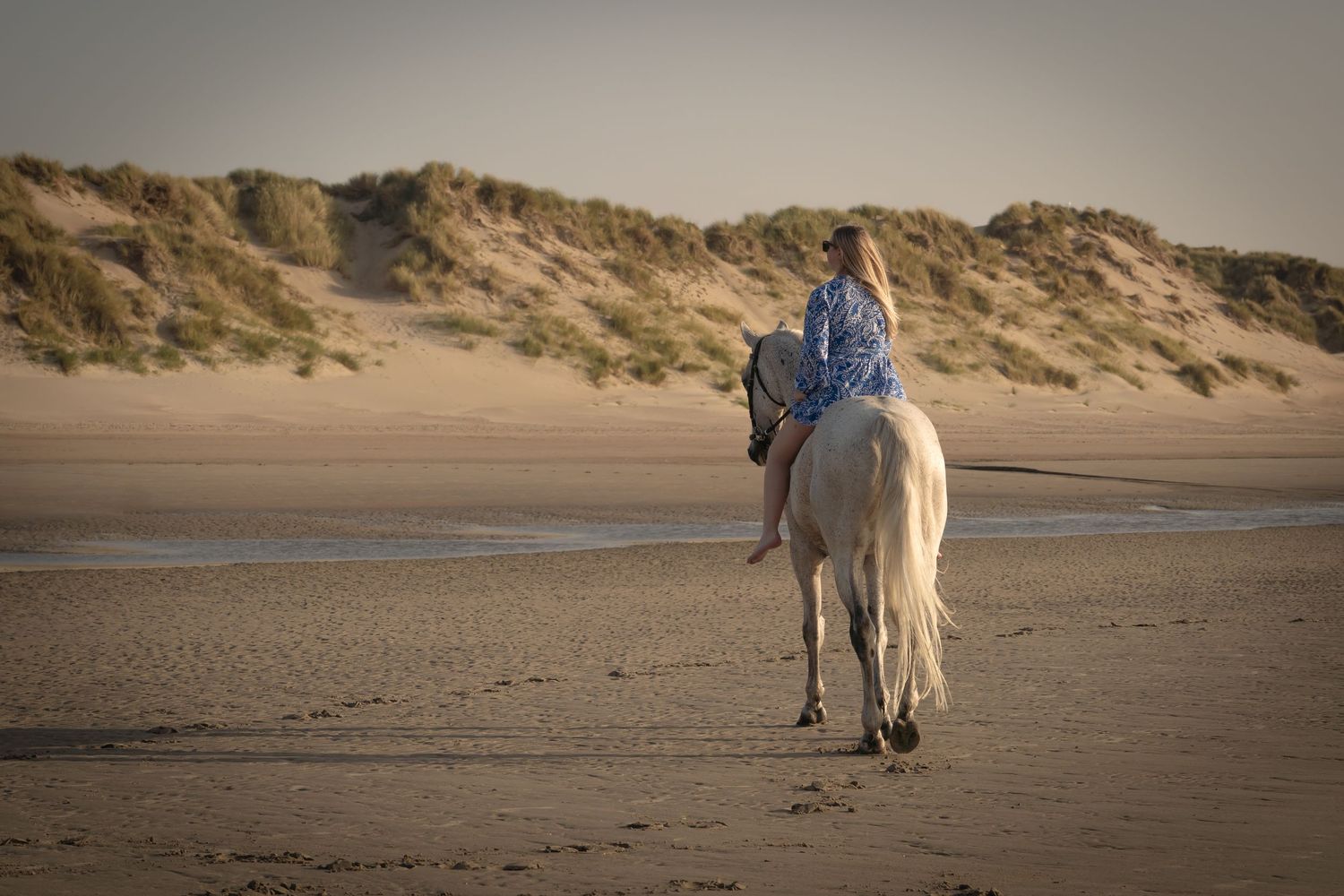 A person in blue rides a white horse along a tranquil sandy beach at dusk with sand dunes in the background.