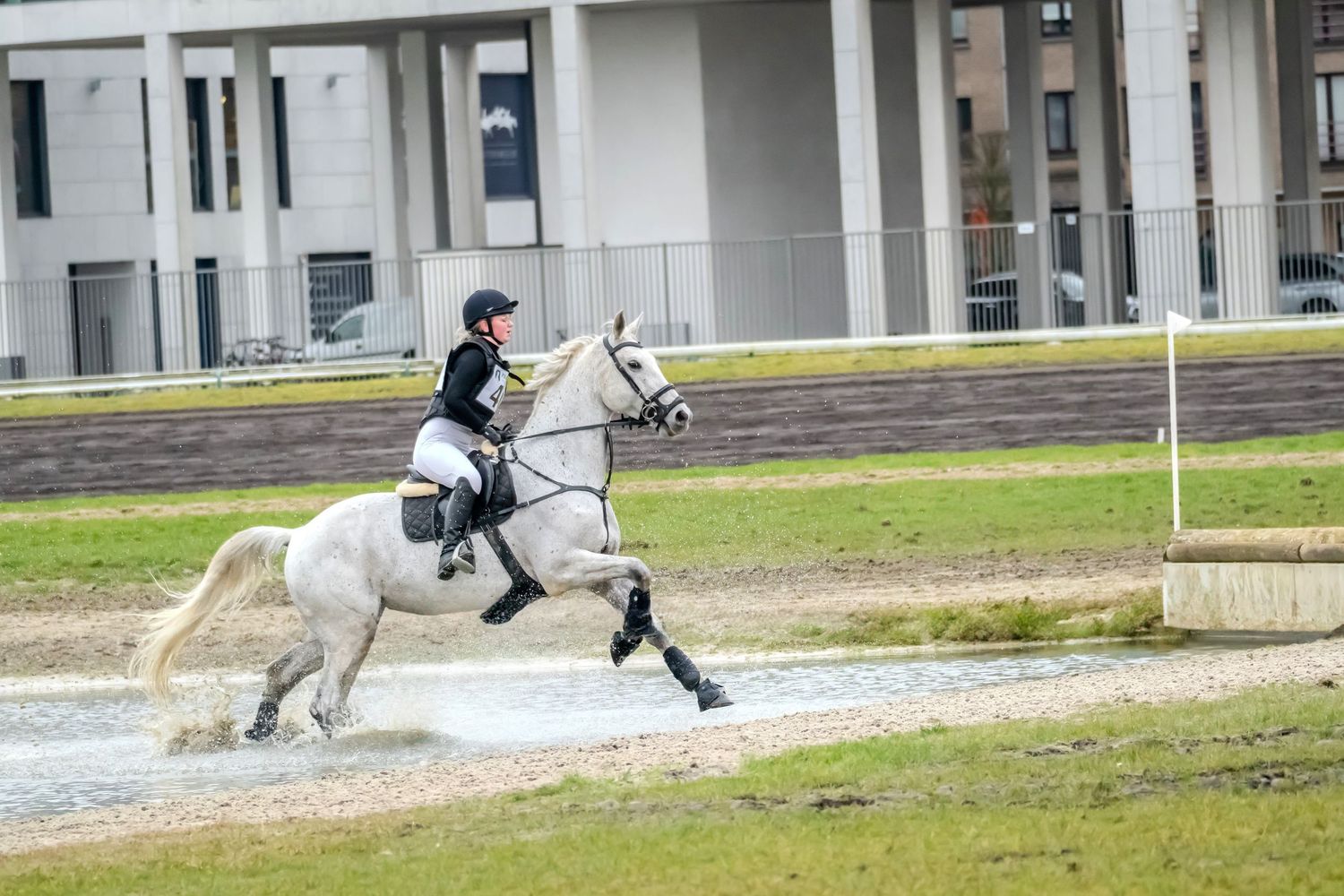Equestrian rider galloping on a white horse during cross-country competition.