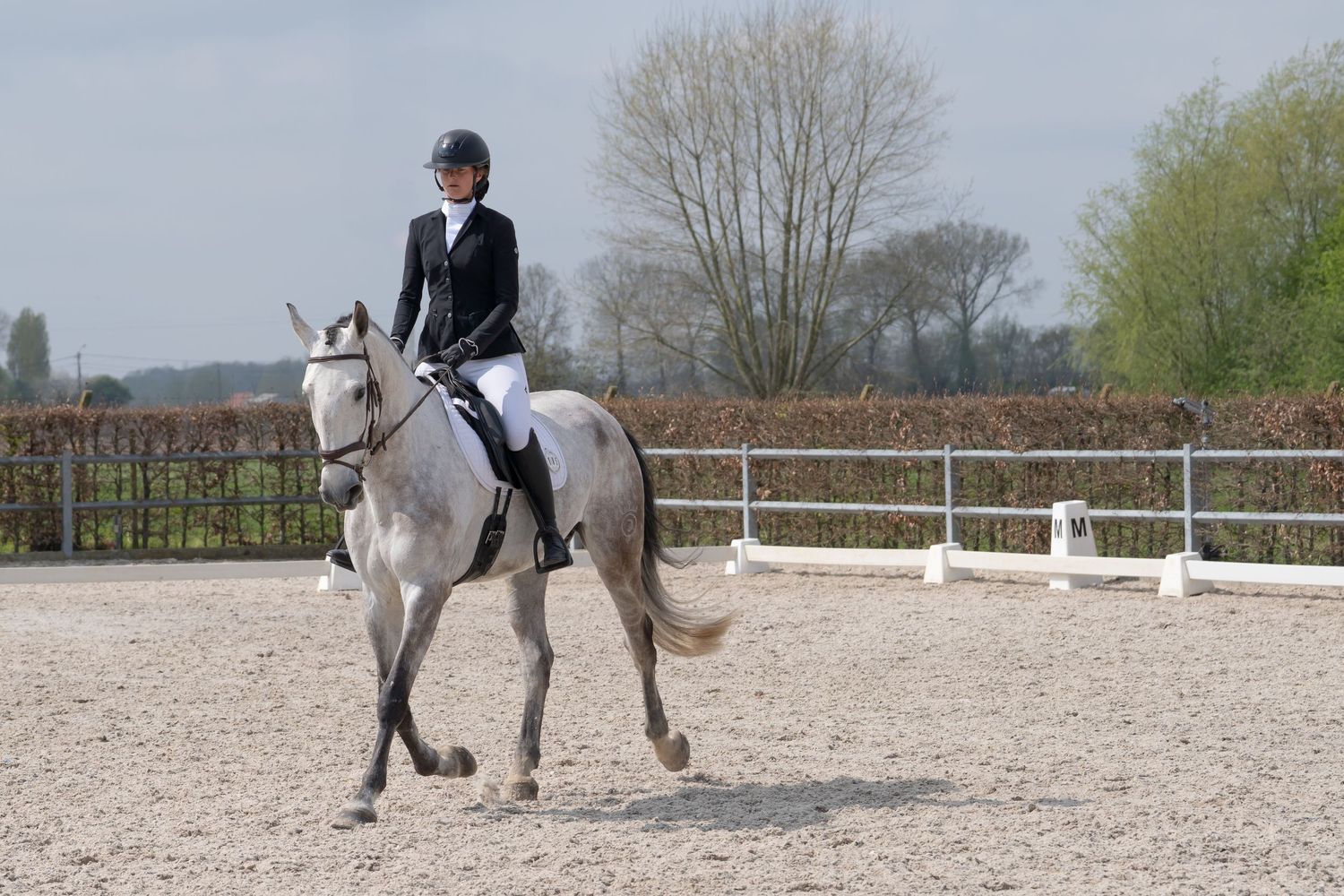 Dressage rider guides graceful grey horse through test movements in outdoor sand arena.
