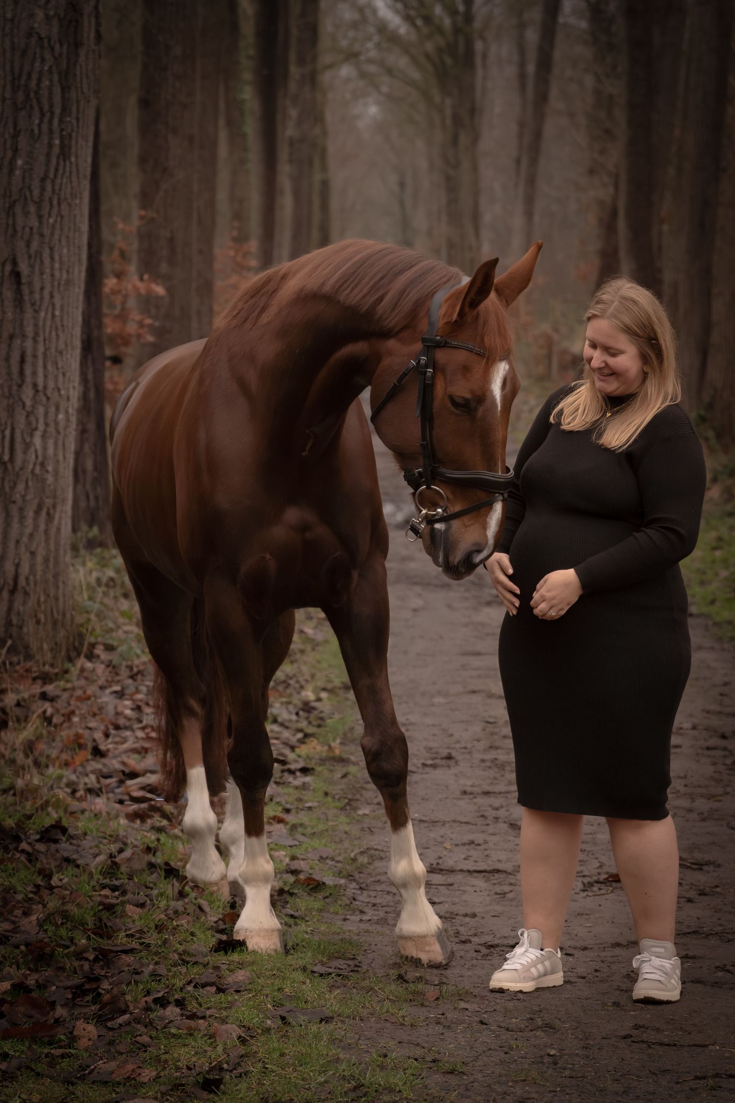 A brown horse and person in a black dress stand together on a forest path in moody lighting.