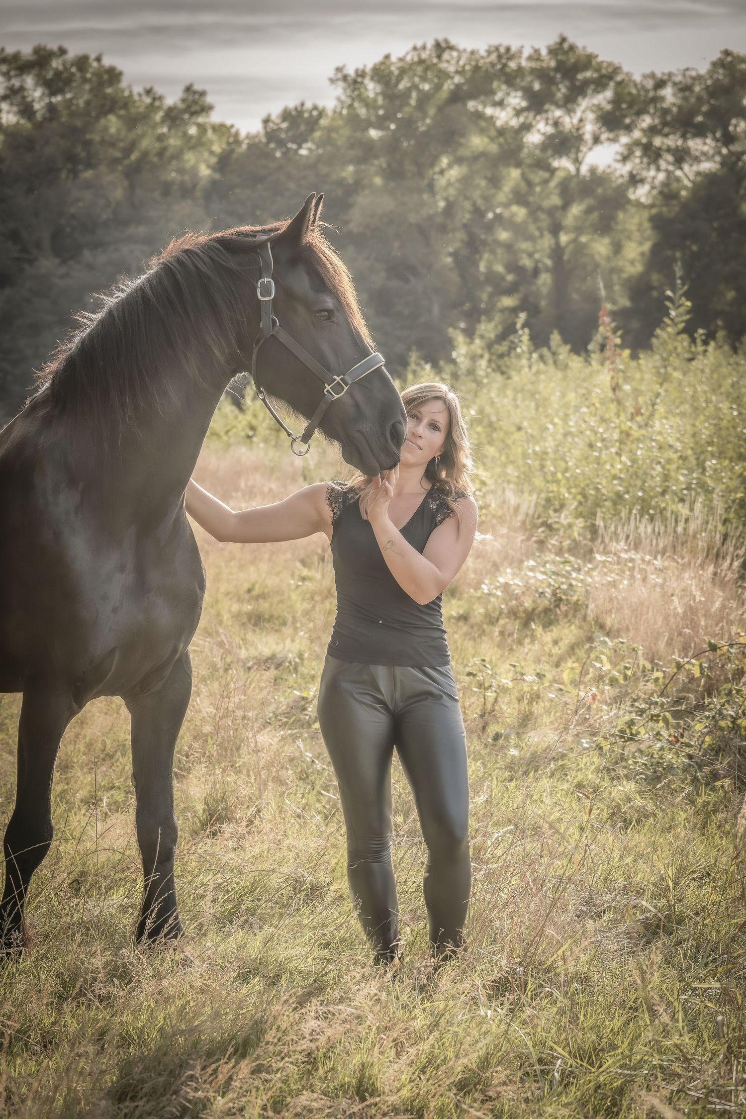 A sequence of photos showing a dark horse and someone in a field of wildflowers during golden hour.