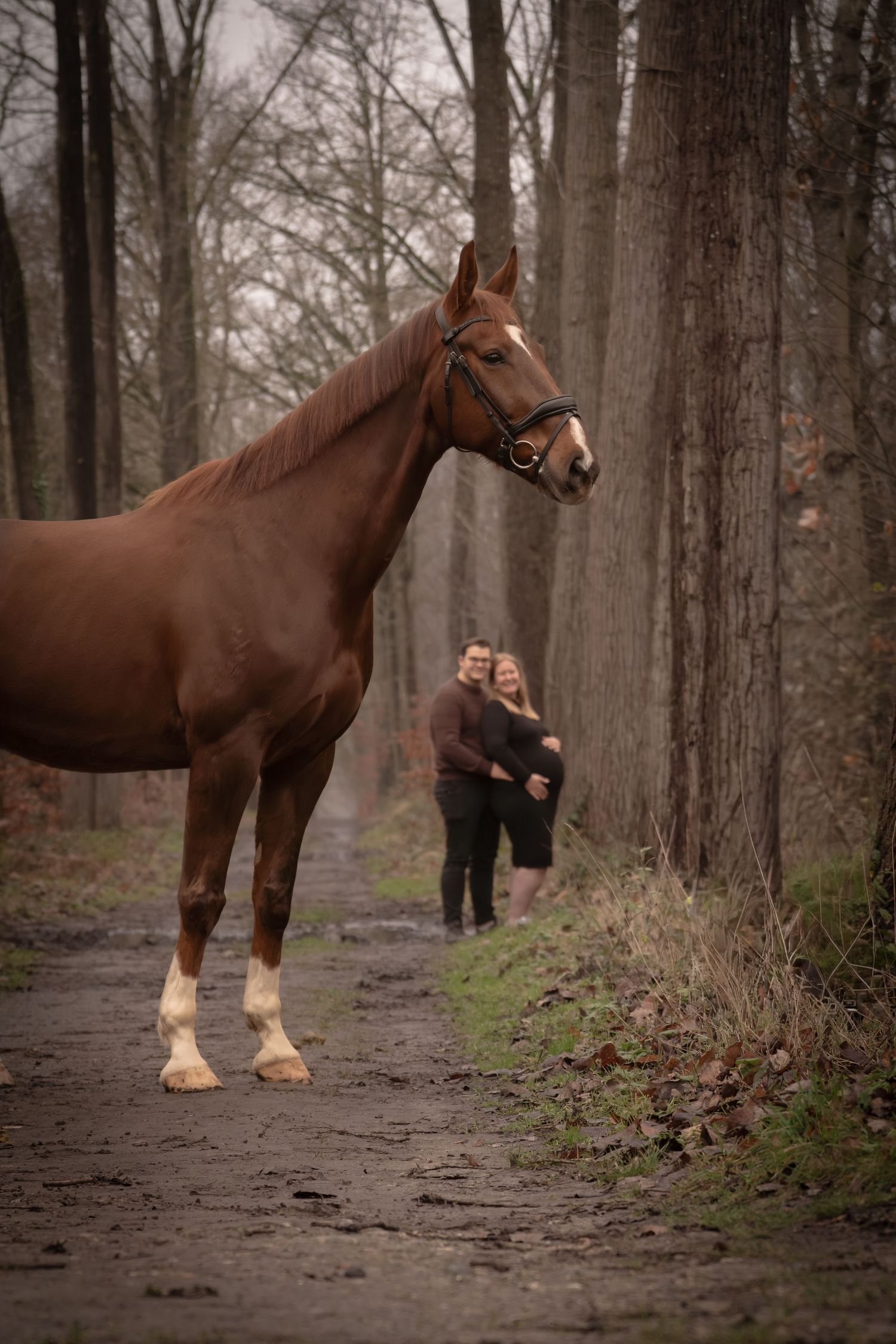 A beautiful brown horse stands on a misty forest path while a couple embraces in the background.