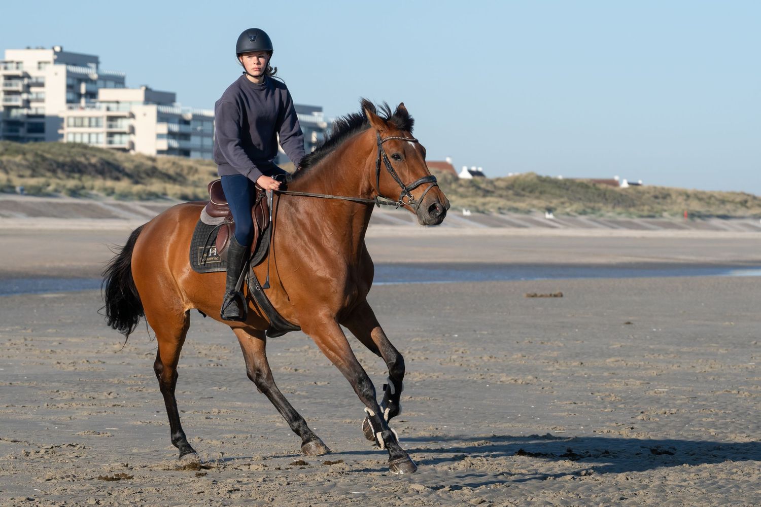 Person riding brown horse along sandy beach with buildings in background.
