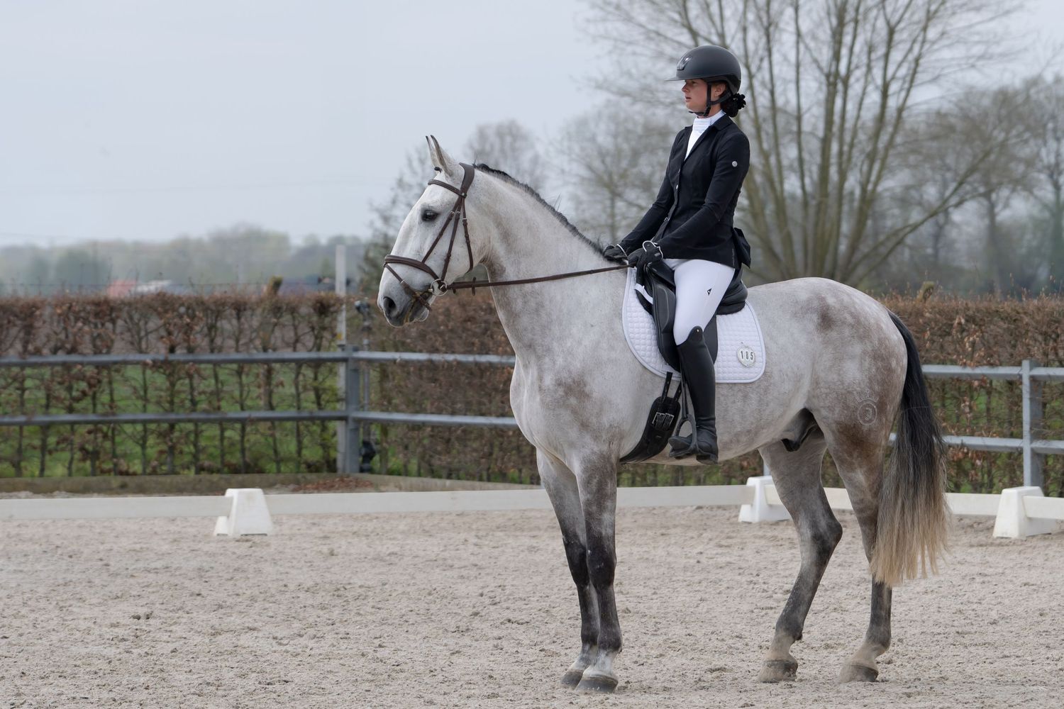 A rider in formal equestrian attire performs dressage on a white horse in an outdoor arena.