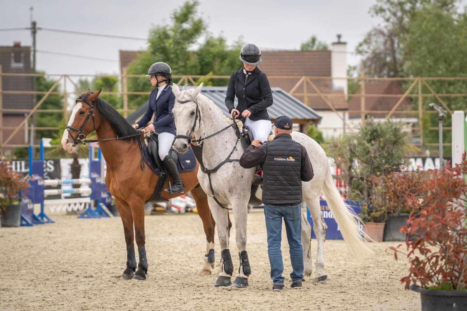 Riders on brown and white horses gather near jump course during equestrian event.