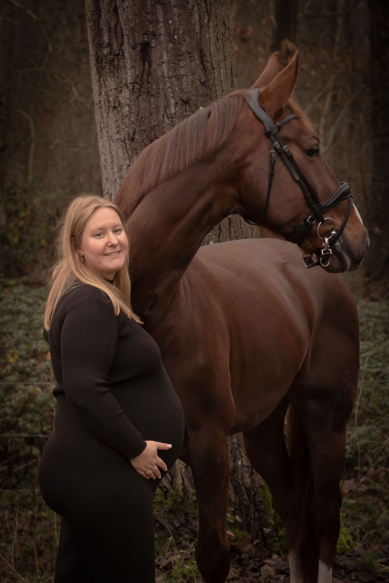 A chestnut horse stands with its handler in a moody forest setting with dark lighting.