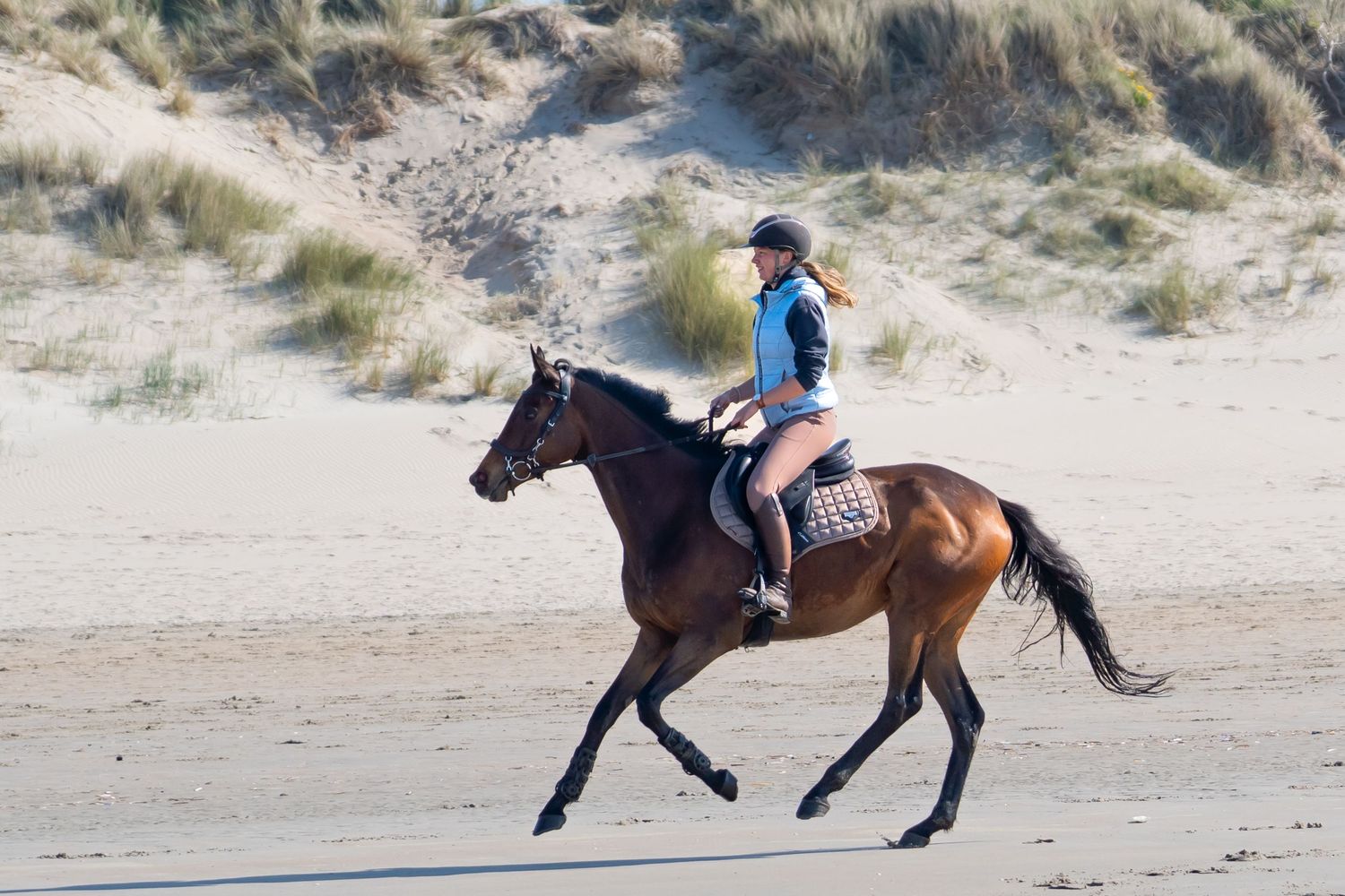 Horses galloping across sandy beach dunes during riding session.