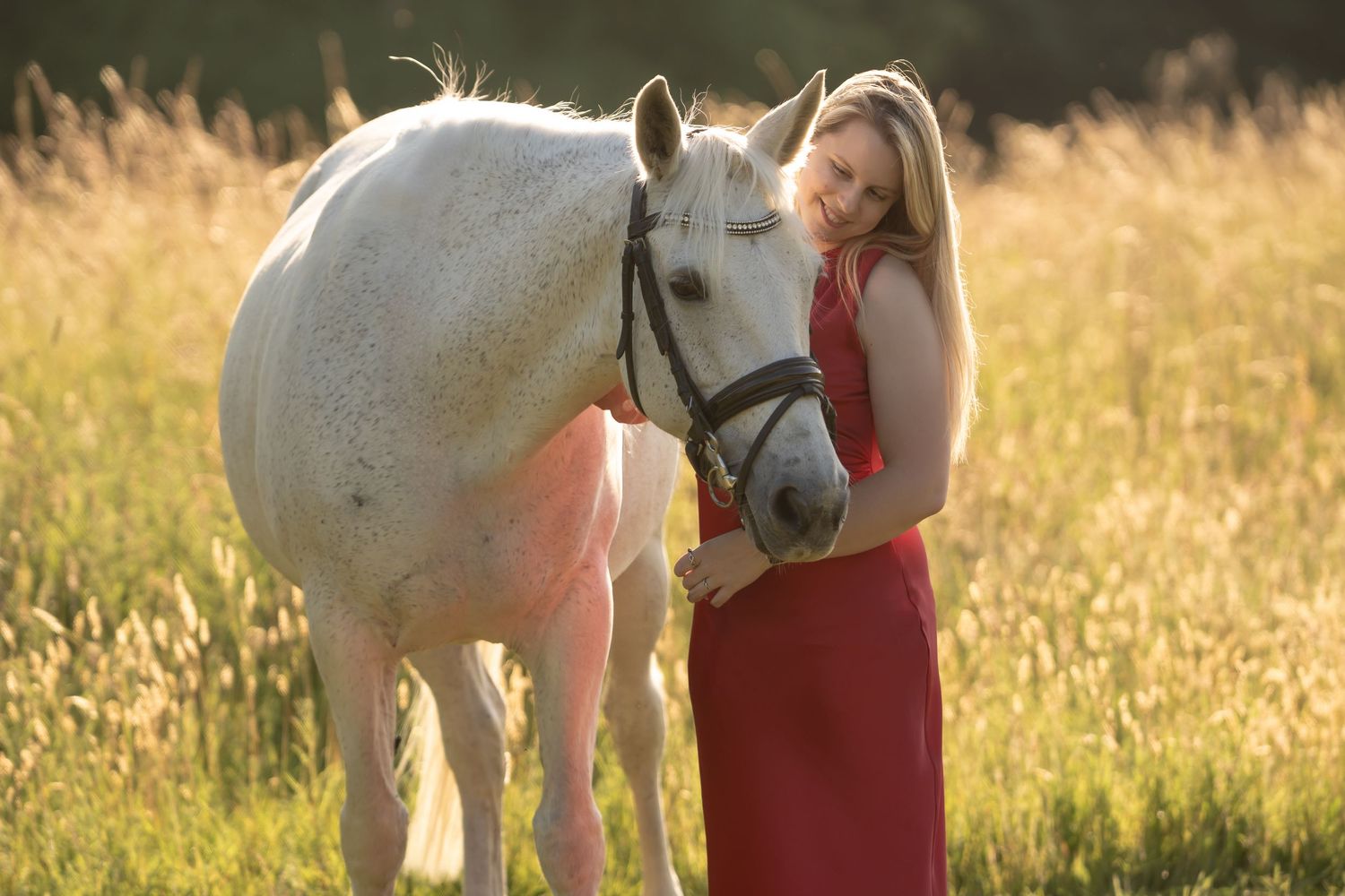 Someone in a red dress is shown petting and interacting with a white horse in a sunlit golden field.
