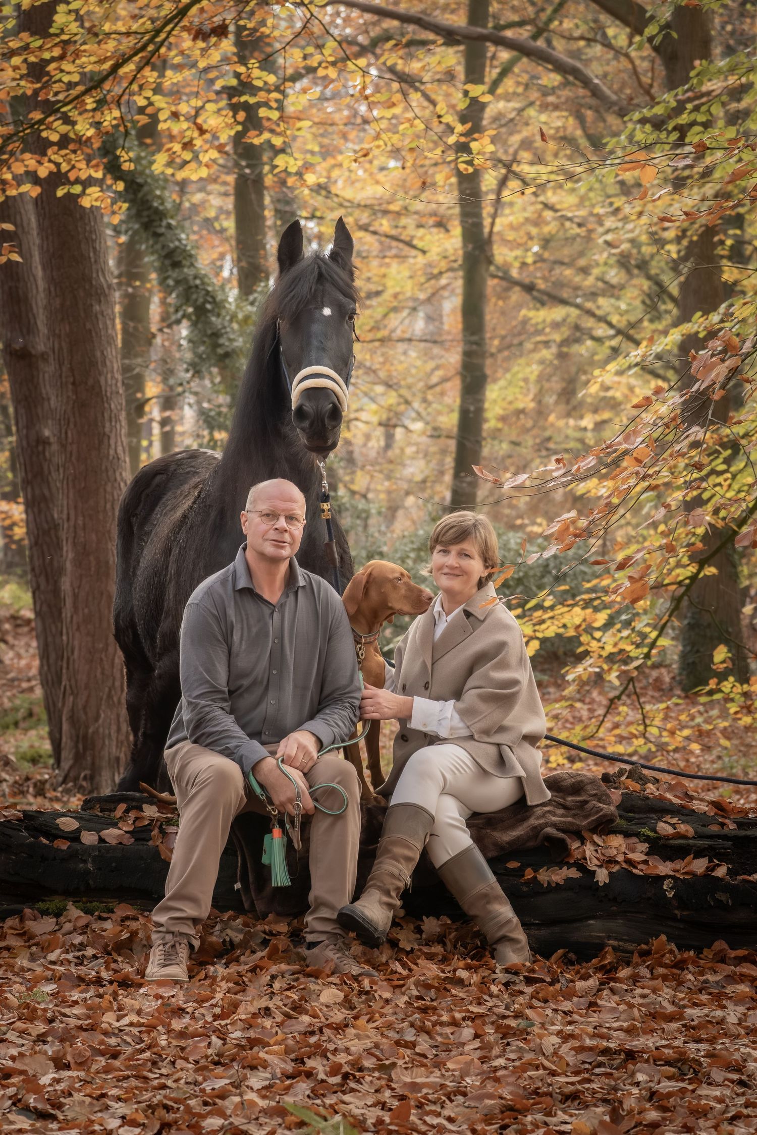 Two people sit together on fallen logs in an autumn forest with horses visible in the background.