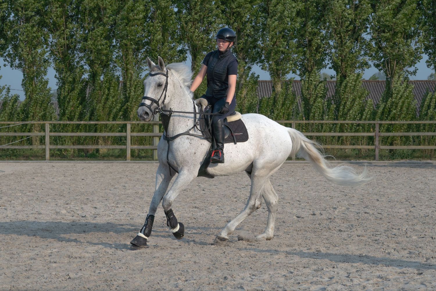 Horse and handler practicing dressage movements in a fenced riding arena.