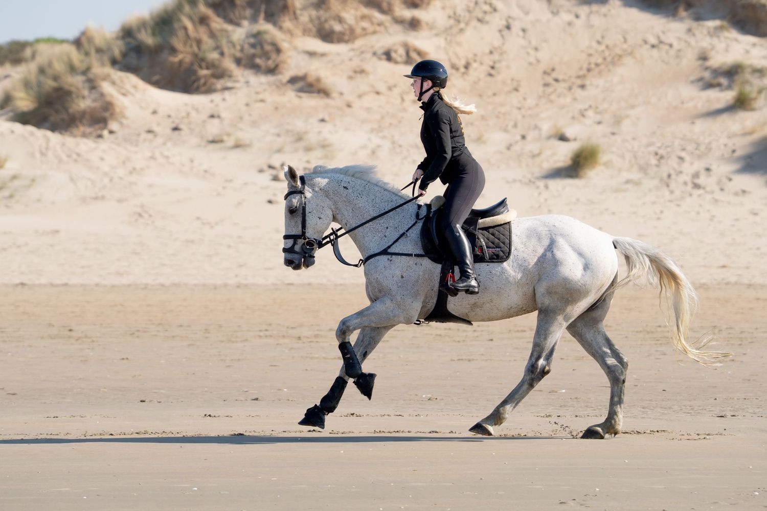 An equestrian in black riding attire canters on a majestic white horse across sandy terrain.