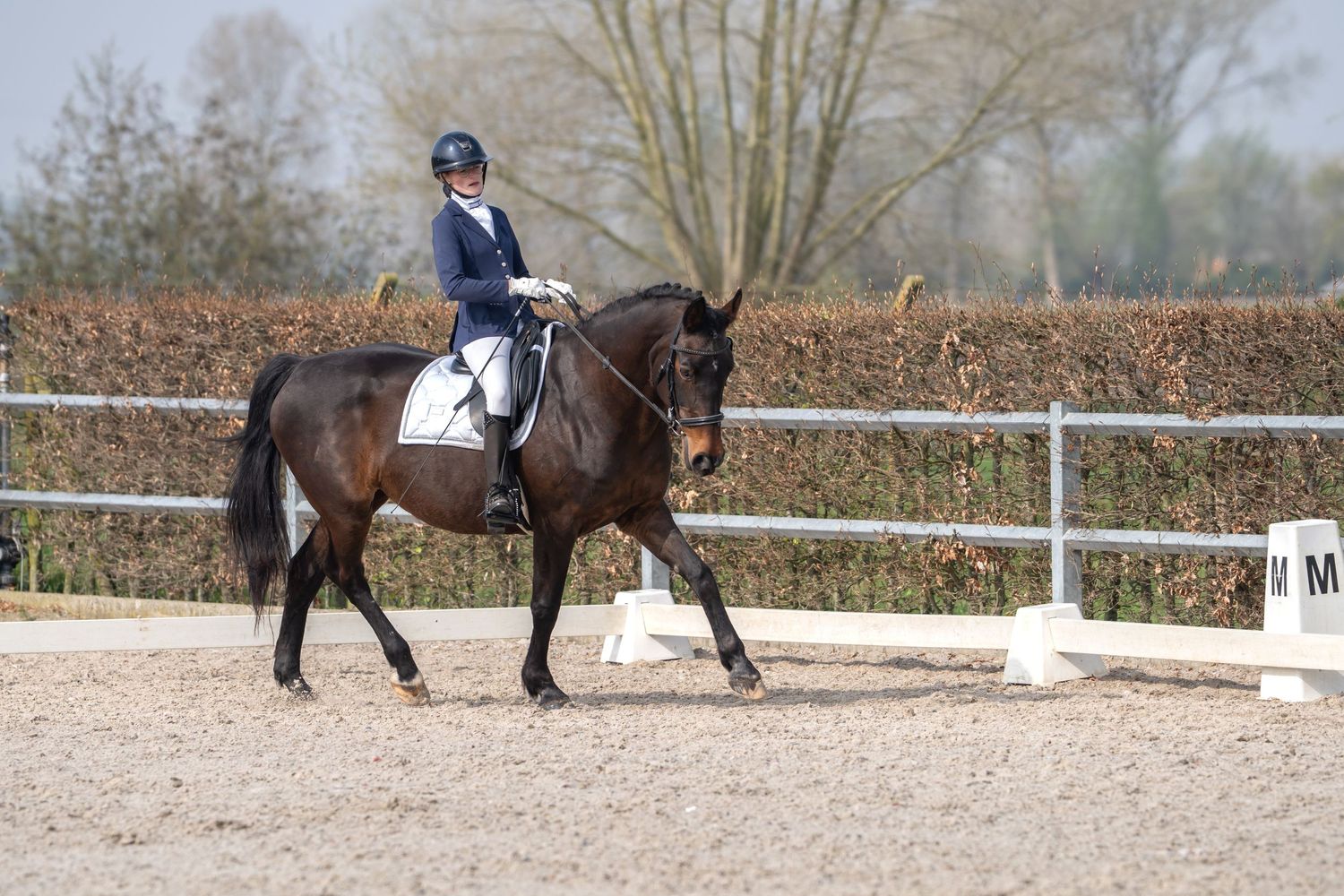A dressage rider performs on a dark horse in an outdoor arena with fencing.