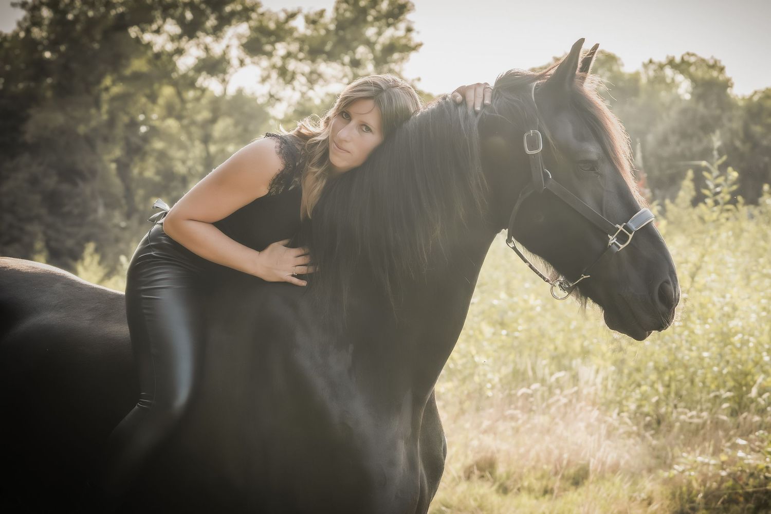 A person lovingly embraces a black horse in a sunlit meadow during golden hour.