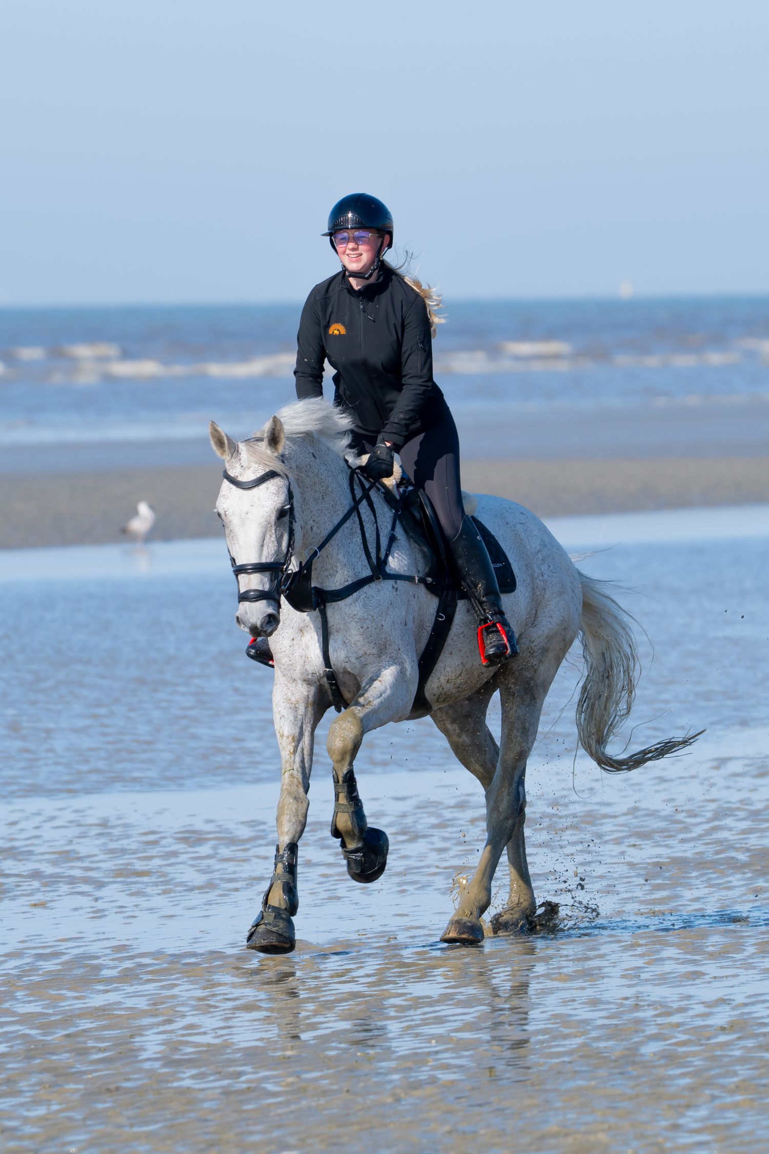A grey horse and rider splash through shallow coastal waters on a misty beach.