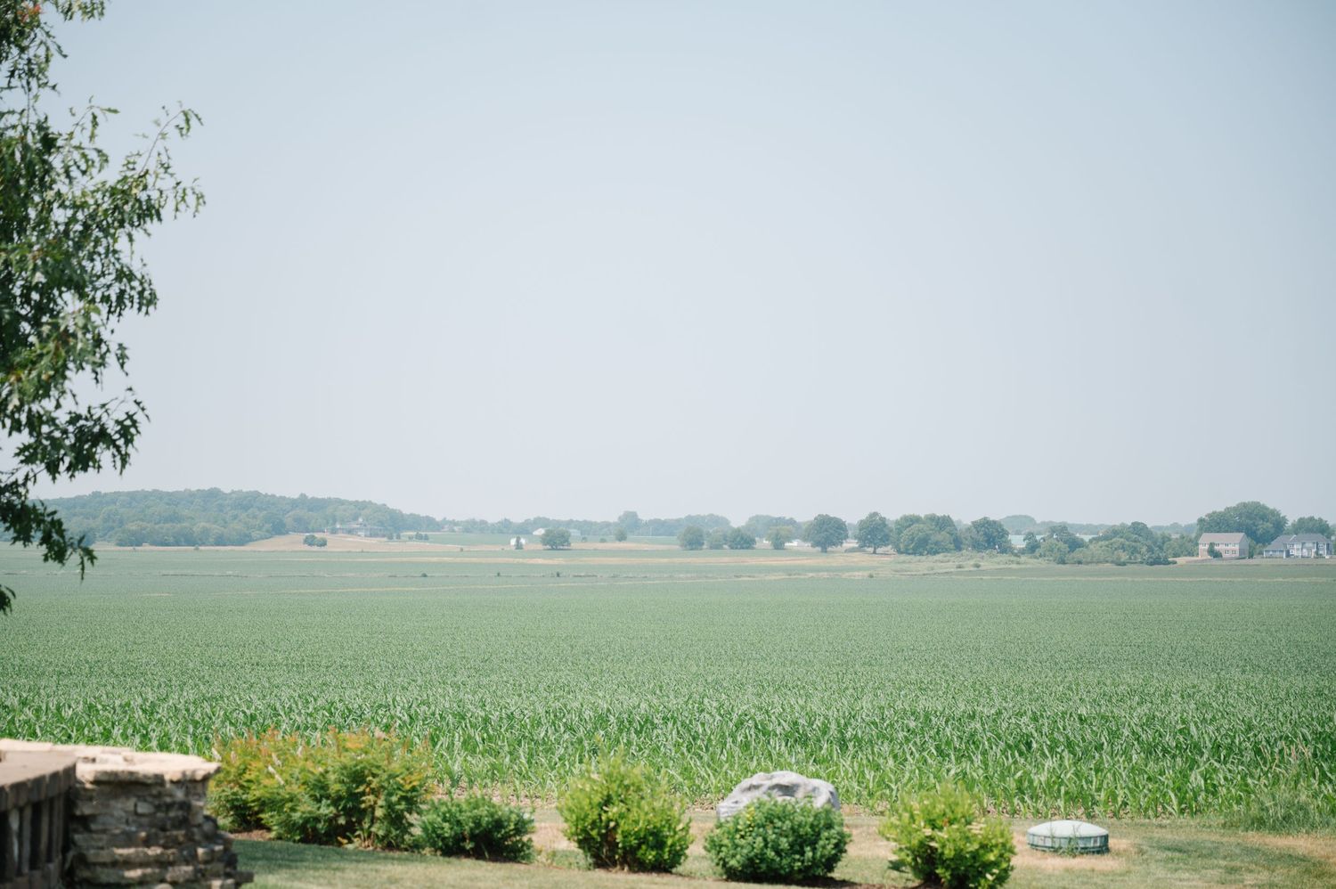 Rolling green cornfields stretch across a rural landscape with distant farmhouses and trees on the horizon.