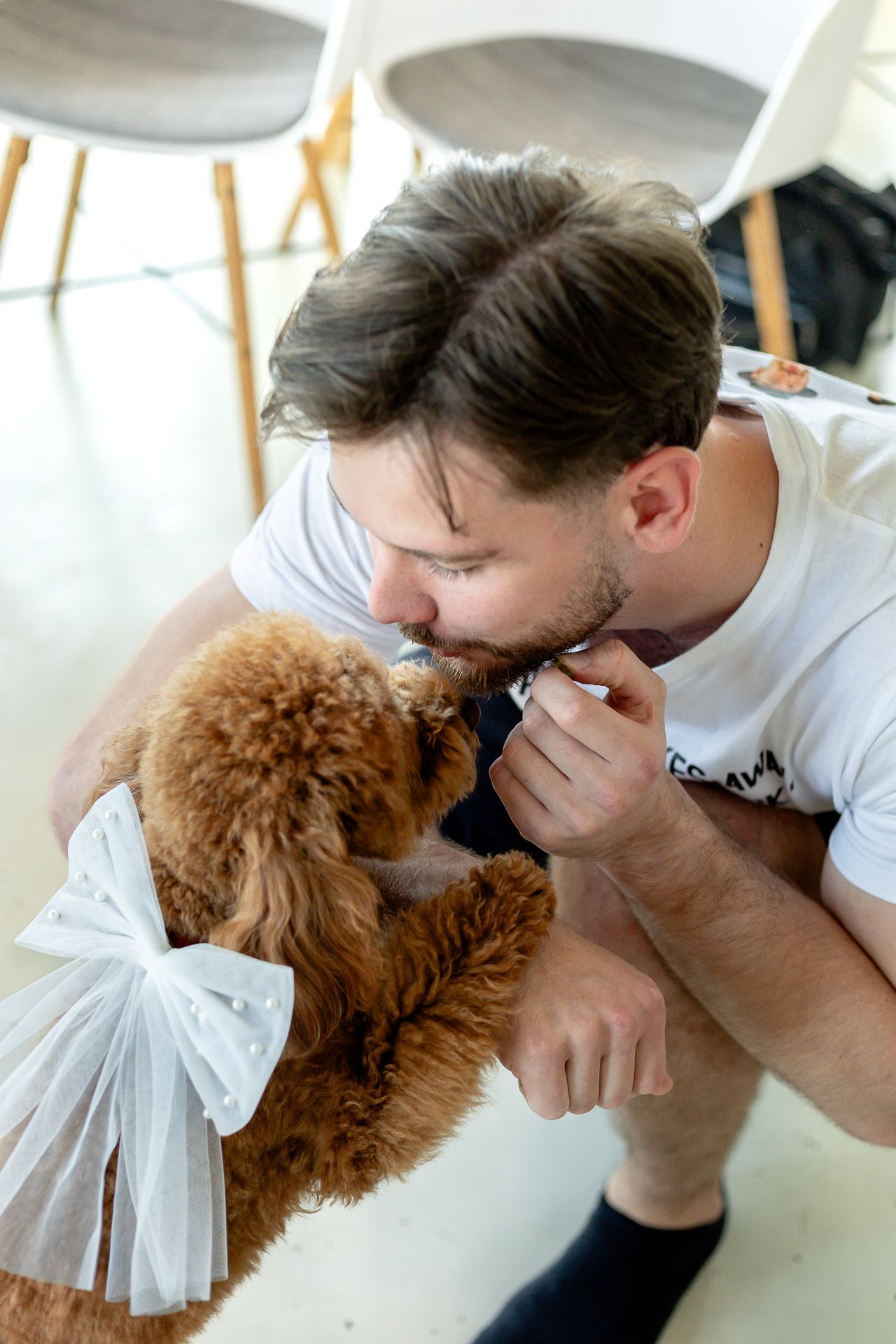 Person in white shirt playing with brown fluffy dog on floor.