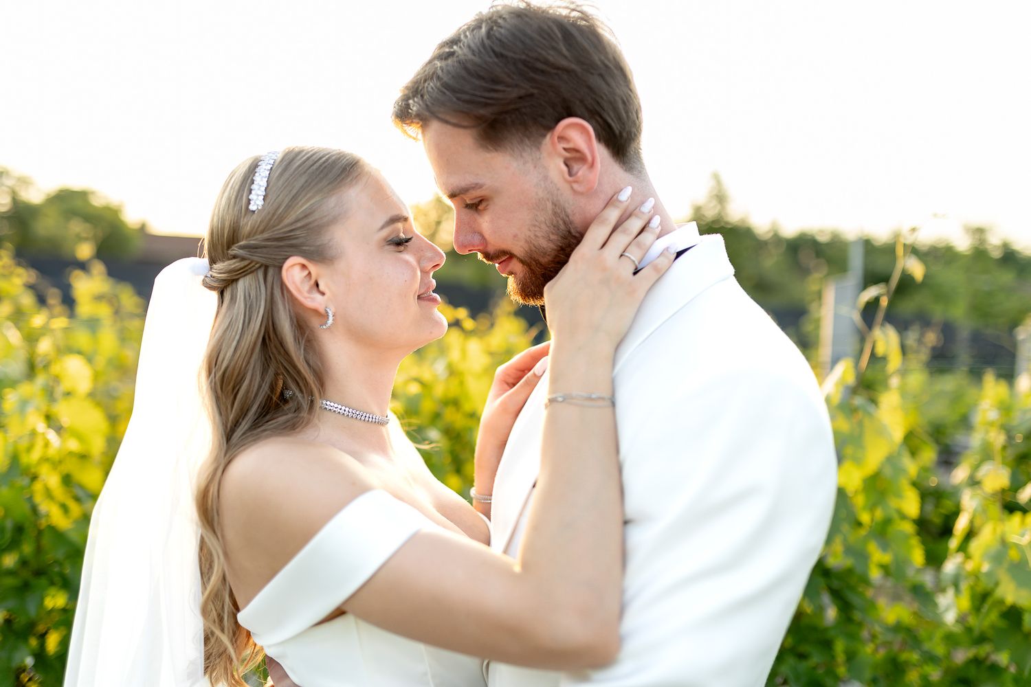 A romantic couple embraces in a sunlit vineyard during their wedding photoshoot.