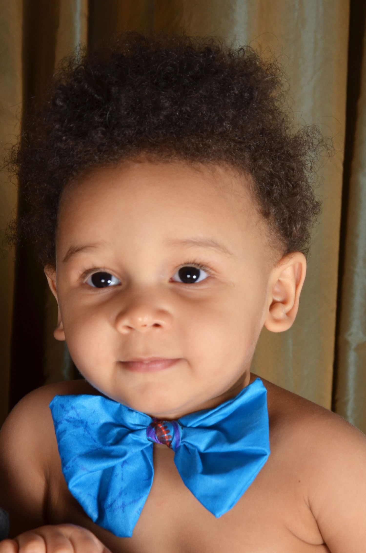 A portrait featuring a bright blue bow tie against a neutral background.