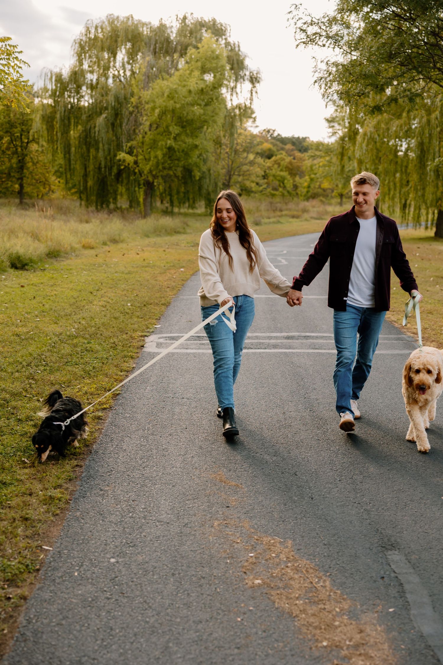 Couple holding hands walking two dogs on a paved park path surrounded by green trees in autumn.