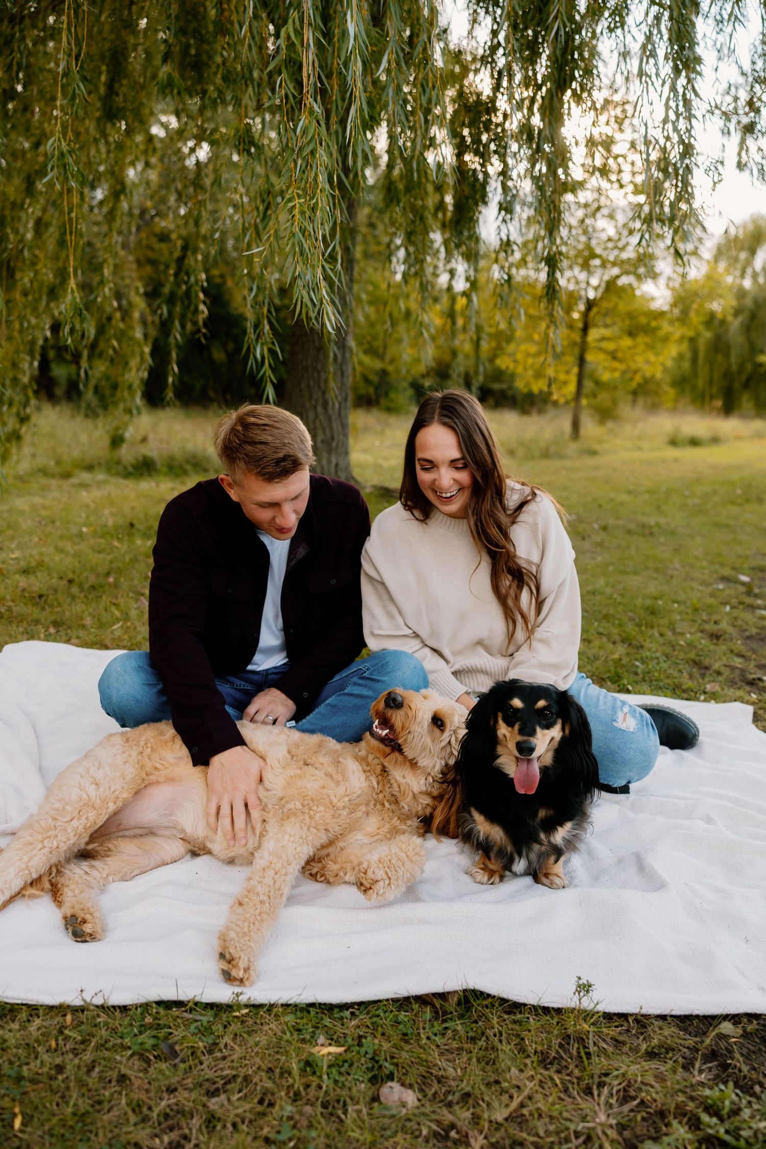 Couple sitting on white blanket in park with golden doodle and small black dog under willow tree.