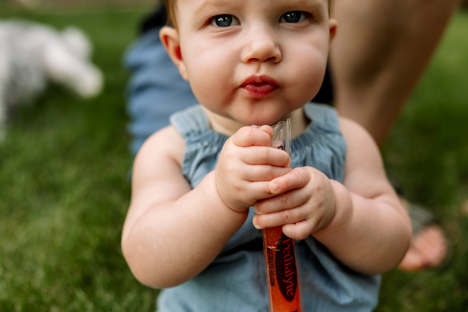 Close-up of cute baby holding orange popsicle with chubby hands on green grass.