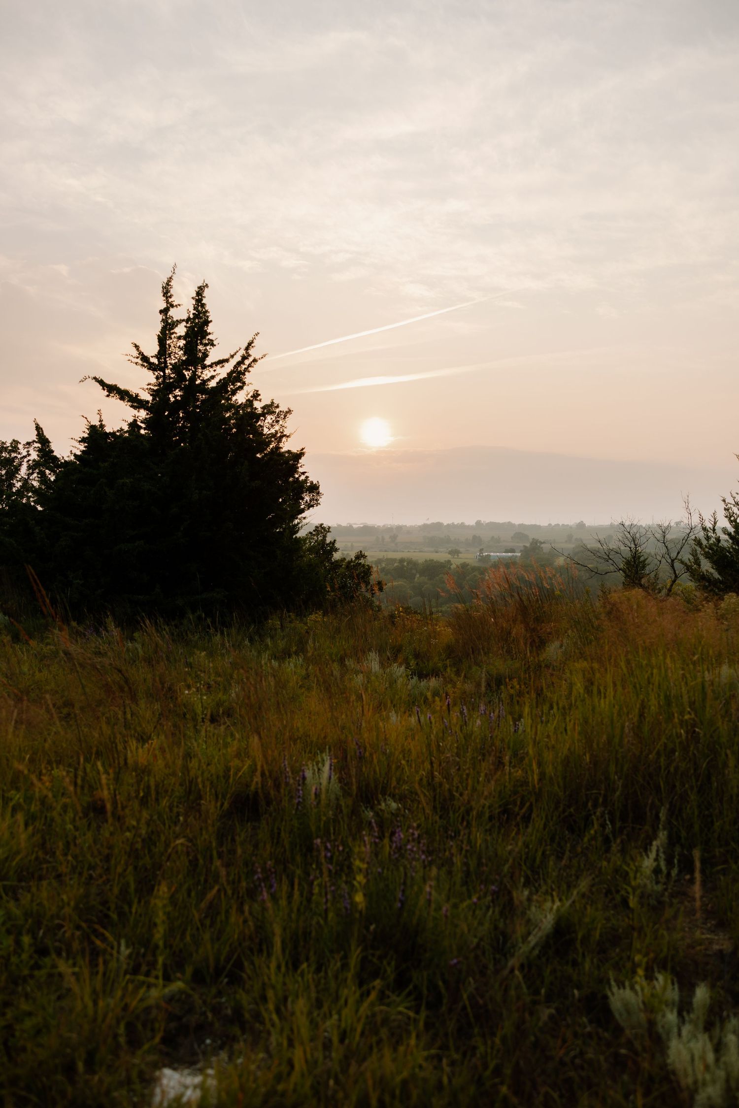 Serene sunset landscape over rolling hills with evergreen trees silhouetted against the sky. sioux falls photographer riley ro photo