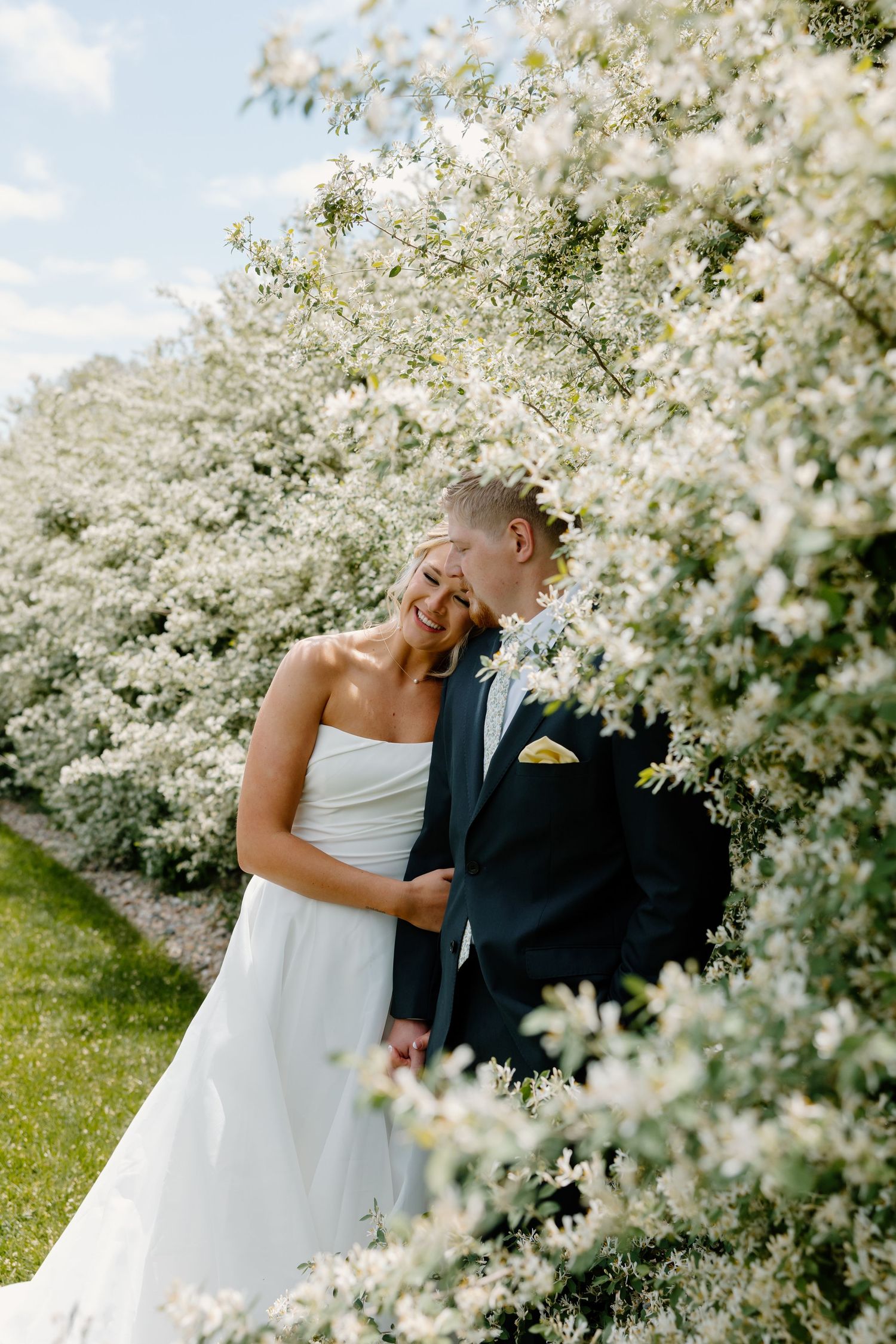 Newlywed couple shares romantic moments under blooming white cherry blossom trees in a spring garden setting.