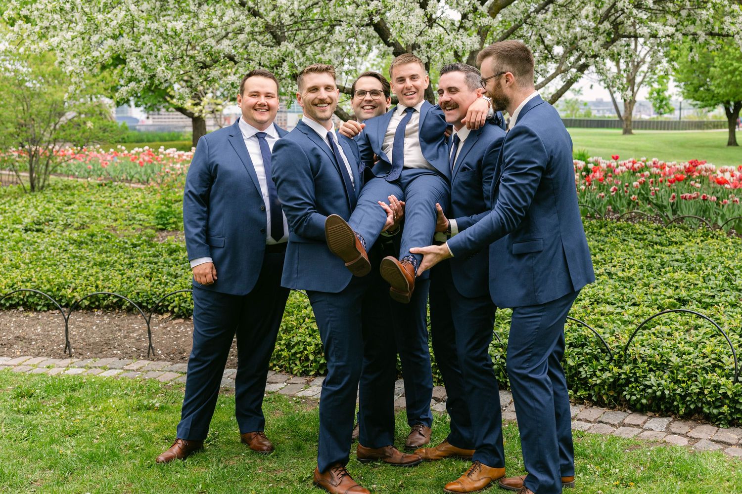 Groomsmen in navy suits lift groom outdoors near blooming trees and red flowers.
