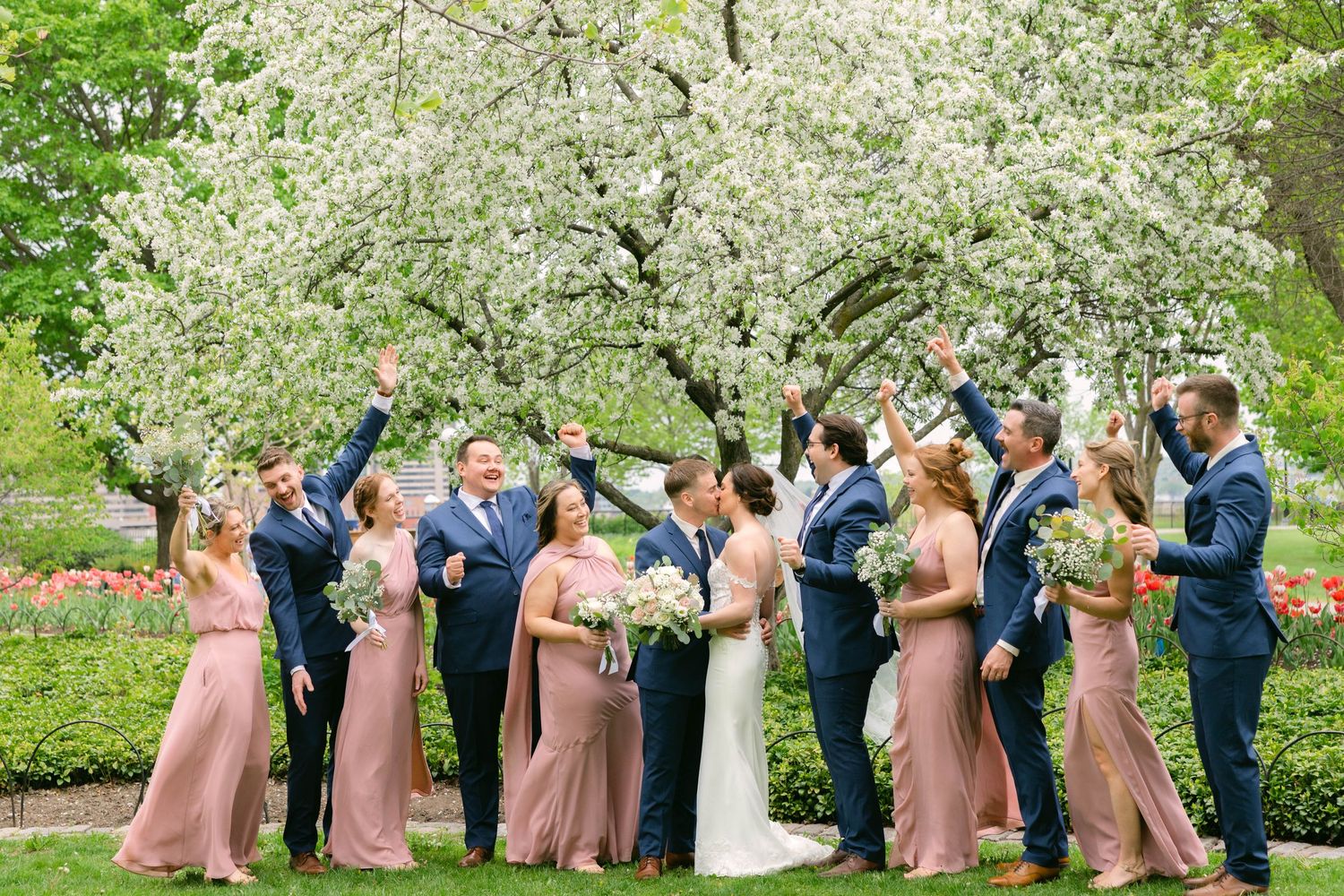 Wedding party in navy suits and dusty rose gowns celebrating under blooming white tree in garden.