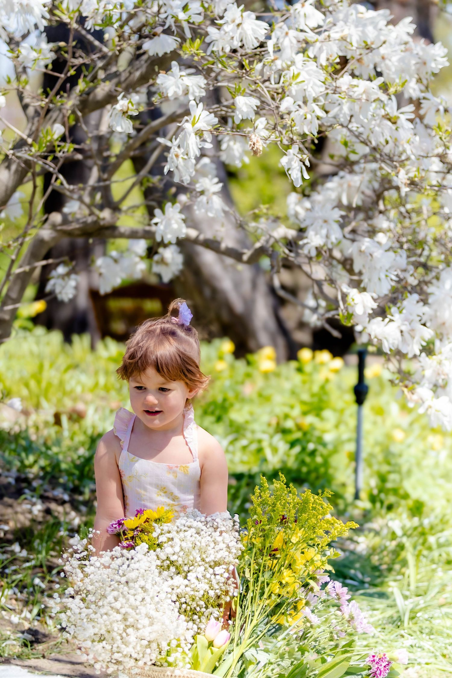 Young one admiring yellow and white wildflowers under flowering trees.
