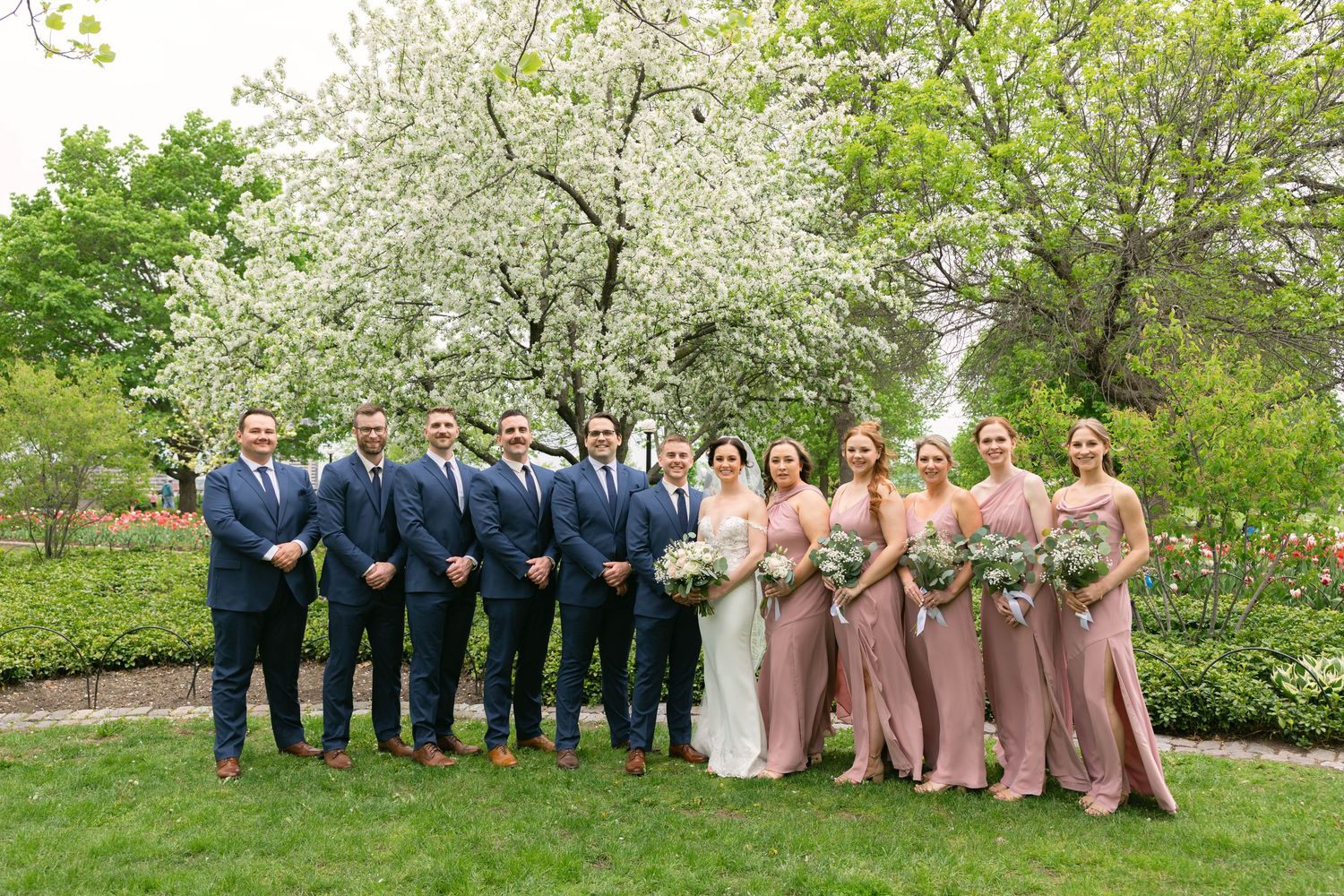 Wedding party poses outdoors in garden with blooming white tree, groomsmen in navy suits and bridesmaids in blush gowns.