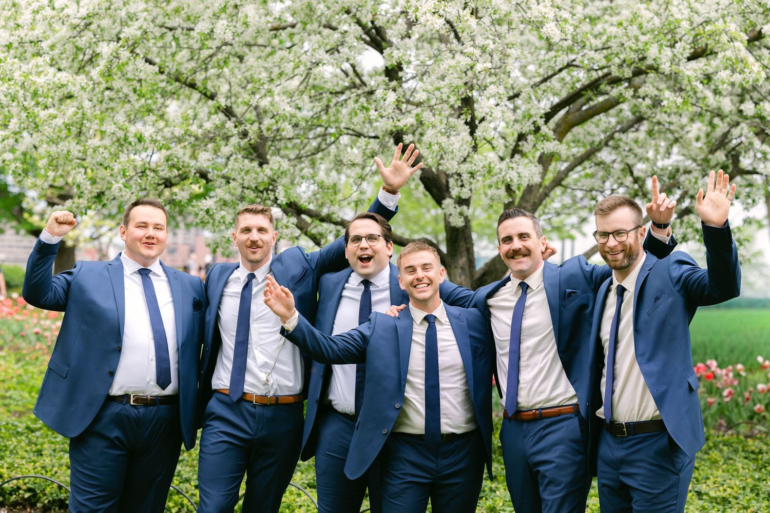 Six groomsmen in navy blue suits celebrating outdoors under blooming white cherry blossom trees at a spring wedding.