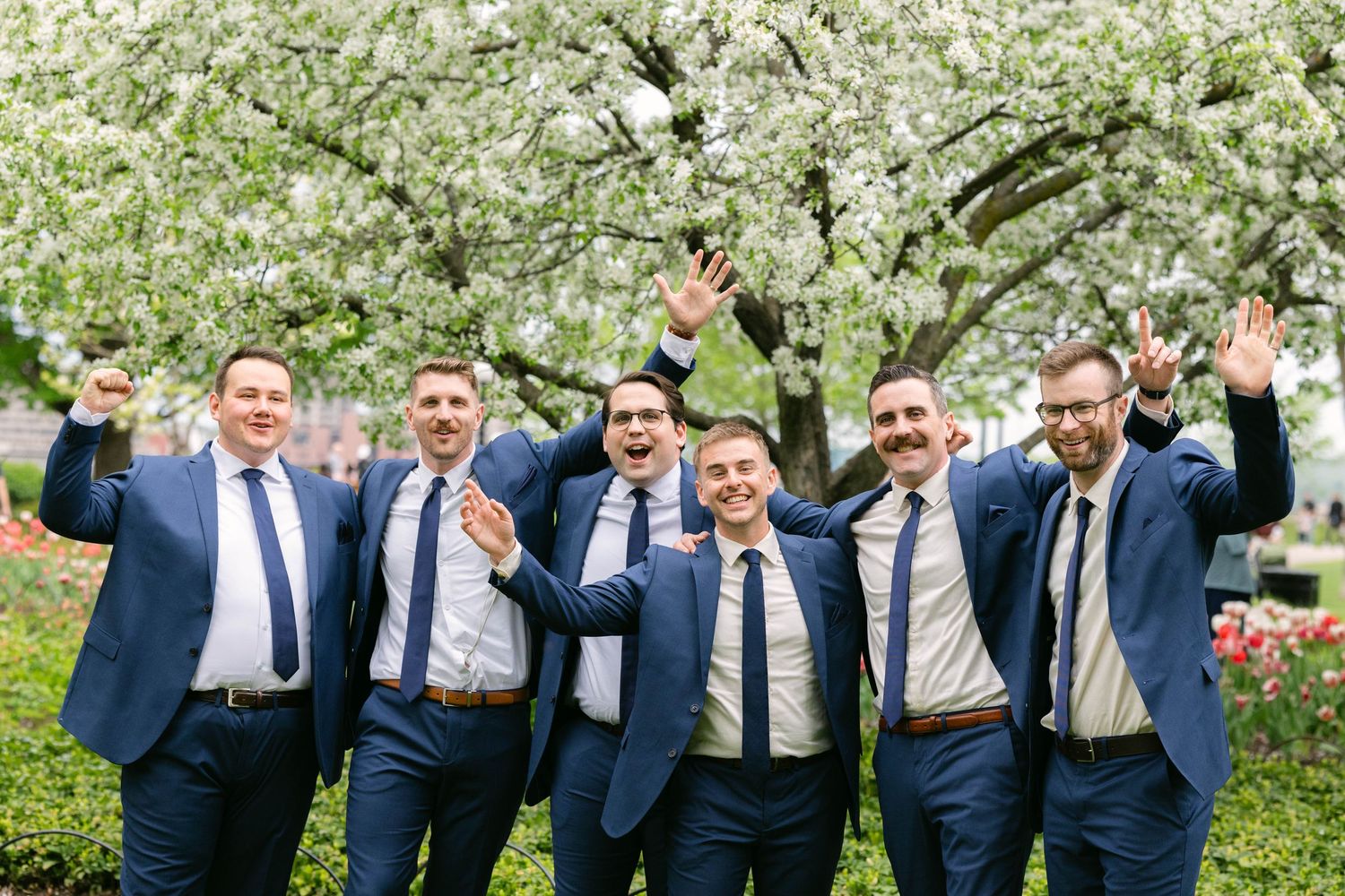 Six groomsmen in navy blue suits celebrate joyfully under blooming white cherry blossom trees at a spring wedding.