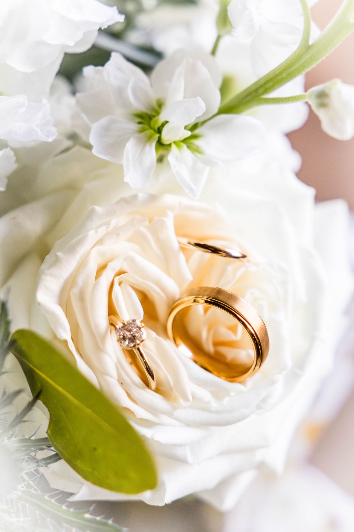 Close-up of wedding rings nestled in white rose petals.