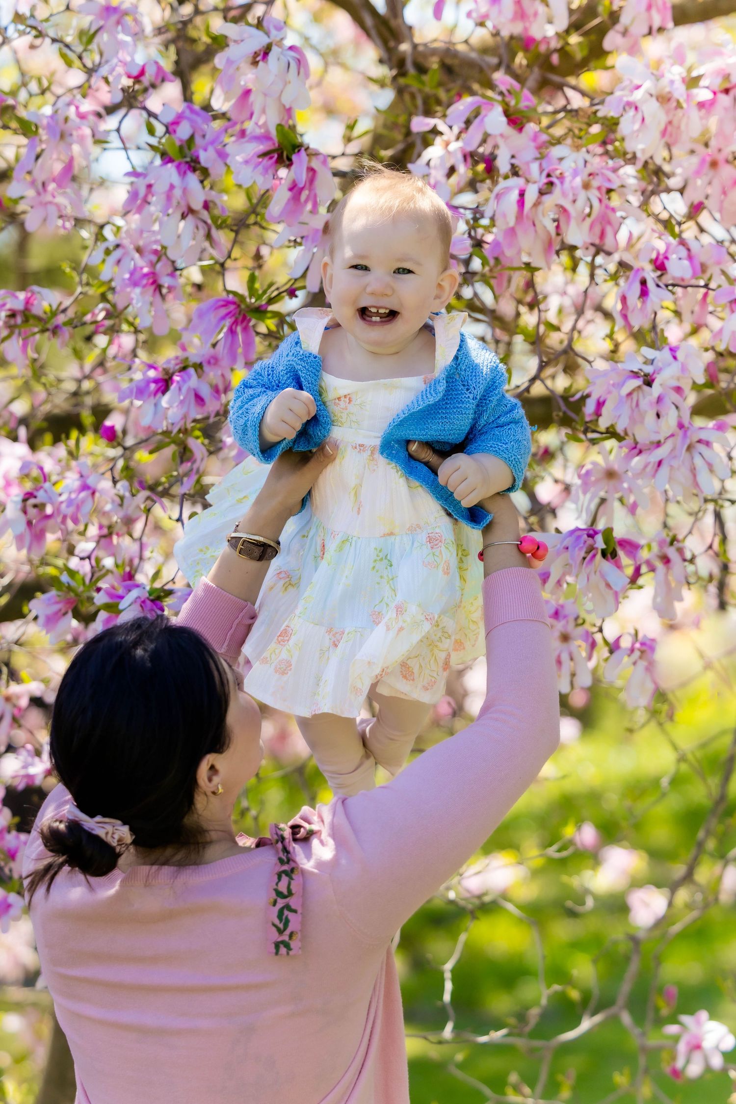 Sweet interaction beneath blooming cherry blossom branches on a sunny day.
