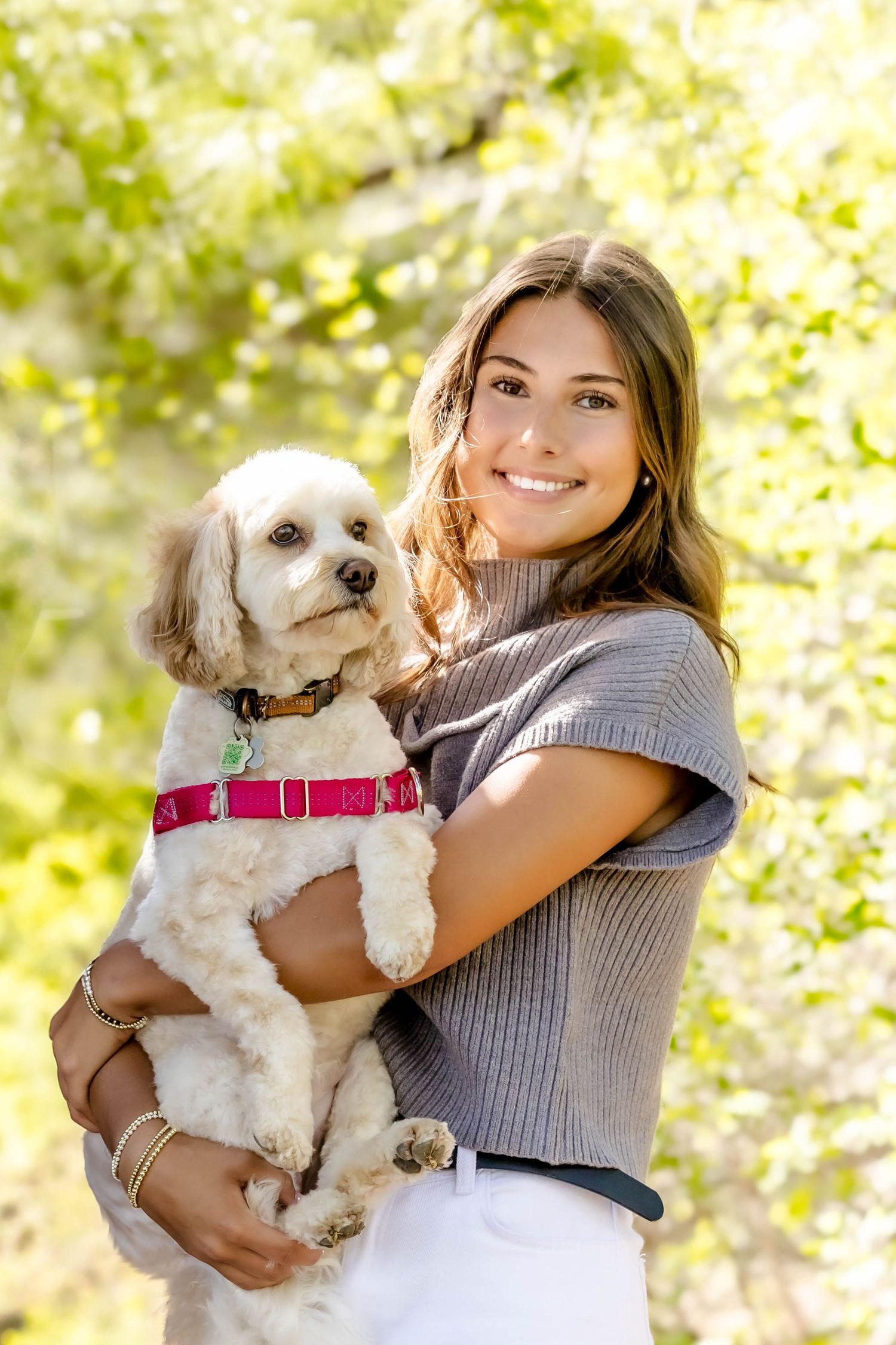 A white fluffy dog wearing a red collar is held by someone in a grey sweater against a bright sunny outdoor background.