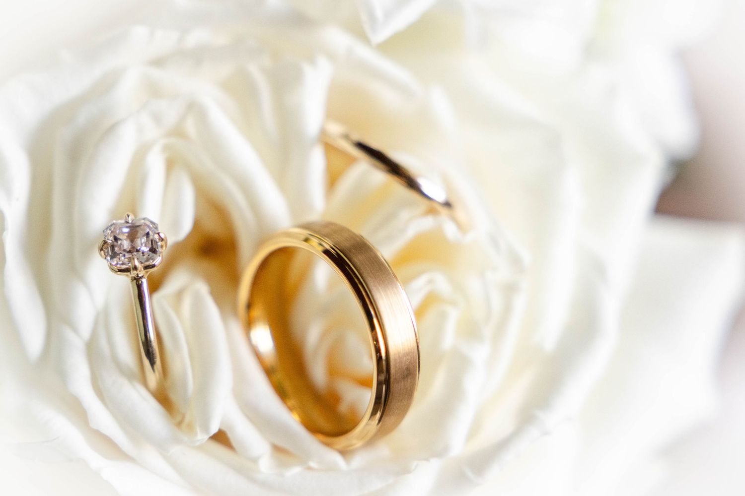 Wedding rings displayed on delicate white rose petals in soft focus.